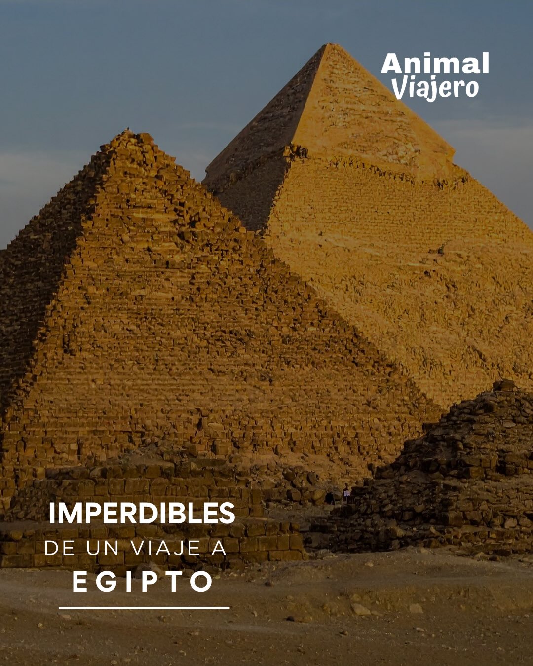 Egipto te está esperando 🇪🇬✨
Pirámides, templos, desierto y el mágico río Nilo en un solo viaje inolvidable.
Vive una experiencia única entre historia, cultura y aventura.
📩 Escríbenos y te armamos tu viaje ideal
#viajesaegipto #egipto #agenciadeviajescdmx #animalviajero #viajaaegipto