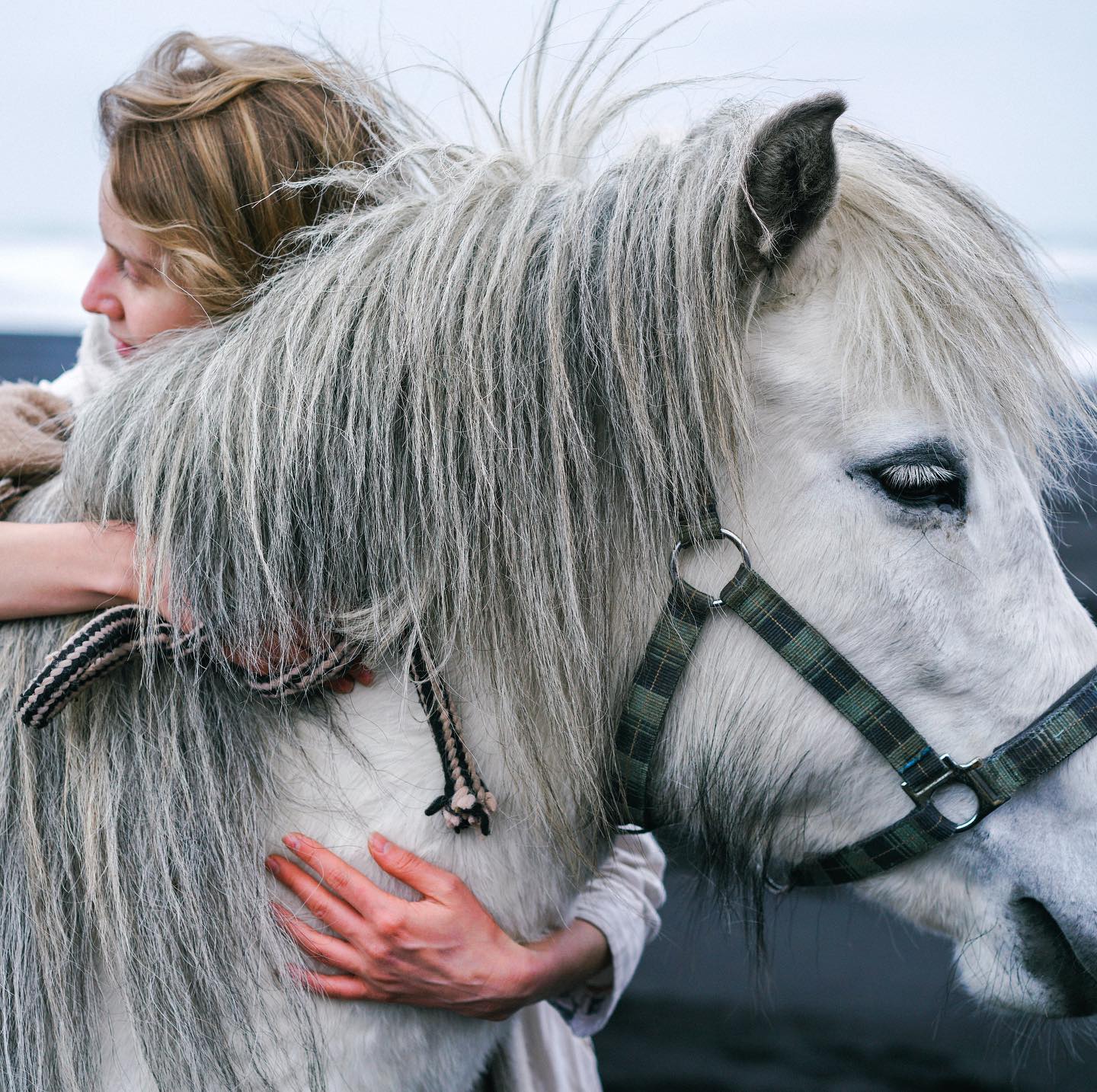 Horses are a Mans Best Friend! 🐴⠀
They become so loyal towards their owner....so it is so important to take care of them:⠀
⠀
𝔹𝔸𝕊𝕀ℂ ℍ𝕆ℝ𝕊𝔼 ℂ𝔸ℝ𝔼 ℝ𝕌𝕃𝔼𝕊: ⠀
𝟙. ℂ𝕙𝕖𝕔𝕜 𝕠𝕟 𝕙𝕠𝕣𝕤𝕖𝕤 𝕒𝕥 𝕝𝕖𝕒𝕤𝕥 𝕥𝕨𝕚𝕔𝕖 𝕒 𝕕𝕒𝕪 🐎⠀
⠀
𝟚. 𝕄𝕒𝕜𝕖 𝕤𝕦𝕣𝕖 𝕘𝕣𝕒𝕫𝕚𝕟𝕘 𝕚𝕤 𝕗𝕣𝕖𝕖 𝕠𝕗 𝕕𝕒𝕟𝕘𝕖𝕣 𝕒𝕟𝕕 𝕡𝕠𝕚𝕤𝕠𝕟𝕠𝕦𝕤 𝕡𝕝𝕒𝕟𝕥𝕤🌱 ⠀
⠀
𝟛. 𝕄𝕒𝕜𝕖 𝕤𝕦𝕣𝕖 𝕤𝕥𝕒𝕓𝕝𝕖𝕤 𝕒𝕣𝕖 𝕤𝕦𝕚𝕥𝕒𝕓𝕝𝕖/𝕤𝕒𝕗𝕖/𝕜𝕖𝕡𝕥 𝕔𝕝𝕖𝕒𝕟 🚿⠀
⠀
𝟜. 𝔸𝕝𝕨𝕒𝕪𝕤 𝕙𝕒𝕧𝕖 𝕗𝕣𝕖𝕤𝕙 𝕨𝕒𝕥𝕖𝕣 𝕒𝕧𝕒𝕚𝕝𝕒𝕓𝕝𝕖 💦⠀
⠀
𝟝. 𝔽𝕖𝕖𝕕 𝕒𝕡𝕡𝕣𝕠𝕡𝕣𝕚𝕒𝕥𝕖𝕝𝕪 𝕗𝕠𝕣 𝕥𝕙𝕖 𝕙𝕠𝕣𝕤𝕖’𝕤 𝕥𝕪𝕡𝕖 𝕒𝕟𝕕 𝕨𝕠𝕣𝕜𝕝𝕠𝕒𝕕 🌽⠀
⠀
𝟞. ℍ𝕒𝕧𝕖 𝕣𝕖𝕘𝕦𝕝𝕒𝕣 𝕙𝕖𝕒𝕝𝕥𝕙 𝕔𝕙𝕖𝕔𝕜𝕤 𝕒𝕟𝕕 𝕗𝕒𝕣𝕣𝕚𝕖𝕣 𝕔𝕒𝕣𝕖✔️⠀
⠀
𝟟. 𝕂𝕖𝕖𝕡 𝕦𝕡 𝕥𝕠 𝕕𝕒𝕥𝕖 𝕨𝕚𝕥𝕙 𝕧𝕒𝕔𝕔𝕚𝕟𝕒𝕥𝕚𝕠𝕟𝕤 𝕒𝕟𝕕 𝕨𝕠𝕣𝕞𝕚𝕟𝕘 🤧⠀
⠀
𝟠. 𝕄𝕒𝕜𝕖 𝕤𝕦𝕣𝕖 𝕖𝕢𝕦𝕚𝕡𝕞𝕖𝕟𝕥 𝕚𝕤 𝕜𝕖𝕡𝕥 𝕚𝕟 𝕘𝕠𝕠𝕕, 𝕤𝕒𝕗𝕖 𝕔𝕠𝕟𝕕𝕚𝕥𝕚𝕠𝕟🐎⠀
⠀
⬆️ ⬆️ ⬆️⠀
It is extremely important that we take care of them in or out of the saddle. Thats means a well fitting saddle is vital!!⠀
⠀
⠀
To find out how you can buy or sell your used or new saddle, head to the link in our bio➡️⠀
⠀
⠀
#horsecare #Saddletrader #saddletraderuk #Saddle #Saddleforsale #stocksadle #horseridinguk #horsesofinstagram #Tackforsale #saddleshop #saddlery #myhorseisthebest #adjustablesaddle #equinehour #equine #britishshowjumping #britishdressage #mansbestfriend #adayinthelifeofasaddlefitter #equestrianlife #horsesofinstagram #horses #stirrups #saddlefacts #saddler #equestrians #horseylife #horsesofinsta #horselifestyle