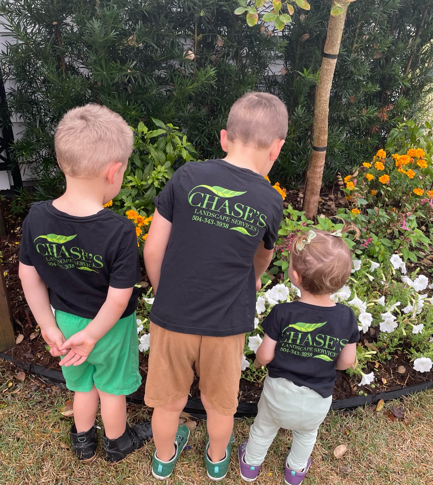 Our three helpers 🌿🌿