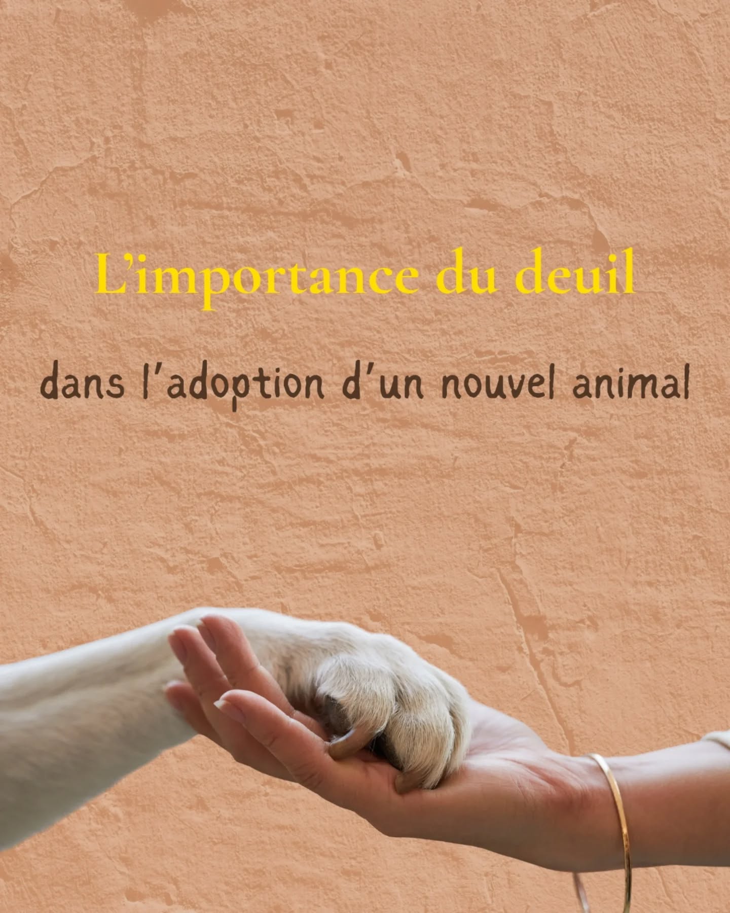 Adopter un nouvel animal après un décès est un moment profondément sensible.
Il n’y a pas de règle universelle, pas de “bon délai”, mais il y a une chose essentielle : le deuil.
Cette scène m’a marqué parce qu’elle m’a rappelé à quel point la douleur peut pousser à vouloir combler le vide trop vite.
Perdre un animal, surtout de façon brutale, laisse un silence assourdissant dans une maison, dans une famille, dans le cœur.
Et parfois, l’envie de reprendre un animal naît moins d’un élan de rencontre que d’un besoin urgent de ne plus ressentir l’absence.
Mais un animal ne vient pas réparer une perte, il ne vient pas remplacer.
Il vient proposer une nouvelle relation, un nouveau lien, une autre histoire.
Prendre le temps du deuil, ce n’est pas oublier, ce n’est pas trahir l’amour vécu.
C’est au contraire l’honorer pleinement, reconnaître ce qui a été partagé, et accepter que ce lien-là ait eu une place unique.
Quand le deuil commence à se faire, l’énergie change et l’adoption n’est plus un refuge contre la douleur, mais un choix conscient, posé, aligné.
Le deuil ne ferme pas le cœur, il le transforme.
Et c’est depuis cet espace-là qu’un nouvel animal peut vraiment trouver sa juste place.
Si tu traverses un deuil animalier, si tu ressens l’appel d’adopter à nouveau mais que quelque chose hésite encore en toi, ou si tu veux simplement mettre des mots sur ce que tu ressens, tu peux m’écrire.
Parfois, prendre le temps d’en parler change déjà beaucoup de choses.