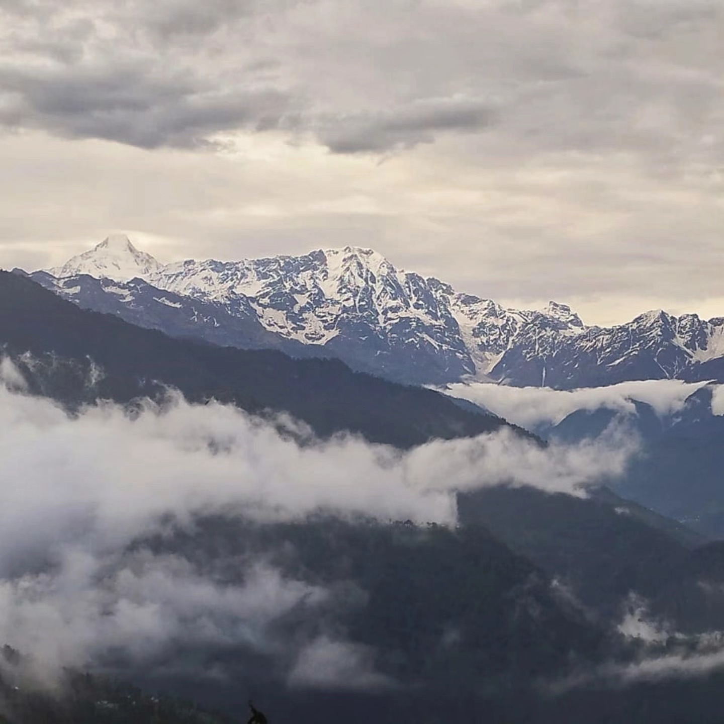 After days of rain, the Himalayas emerge from the parting veil of clouds.
#himvanliti #kumaon #himalayas #ecoretreat #hills #holiday #home #natureescape #clouds #monsoon #snow #instagood #travelgram #valley #solitude