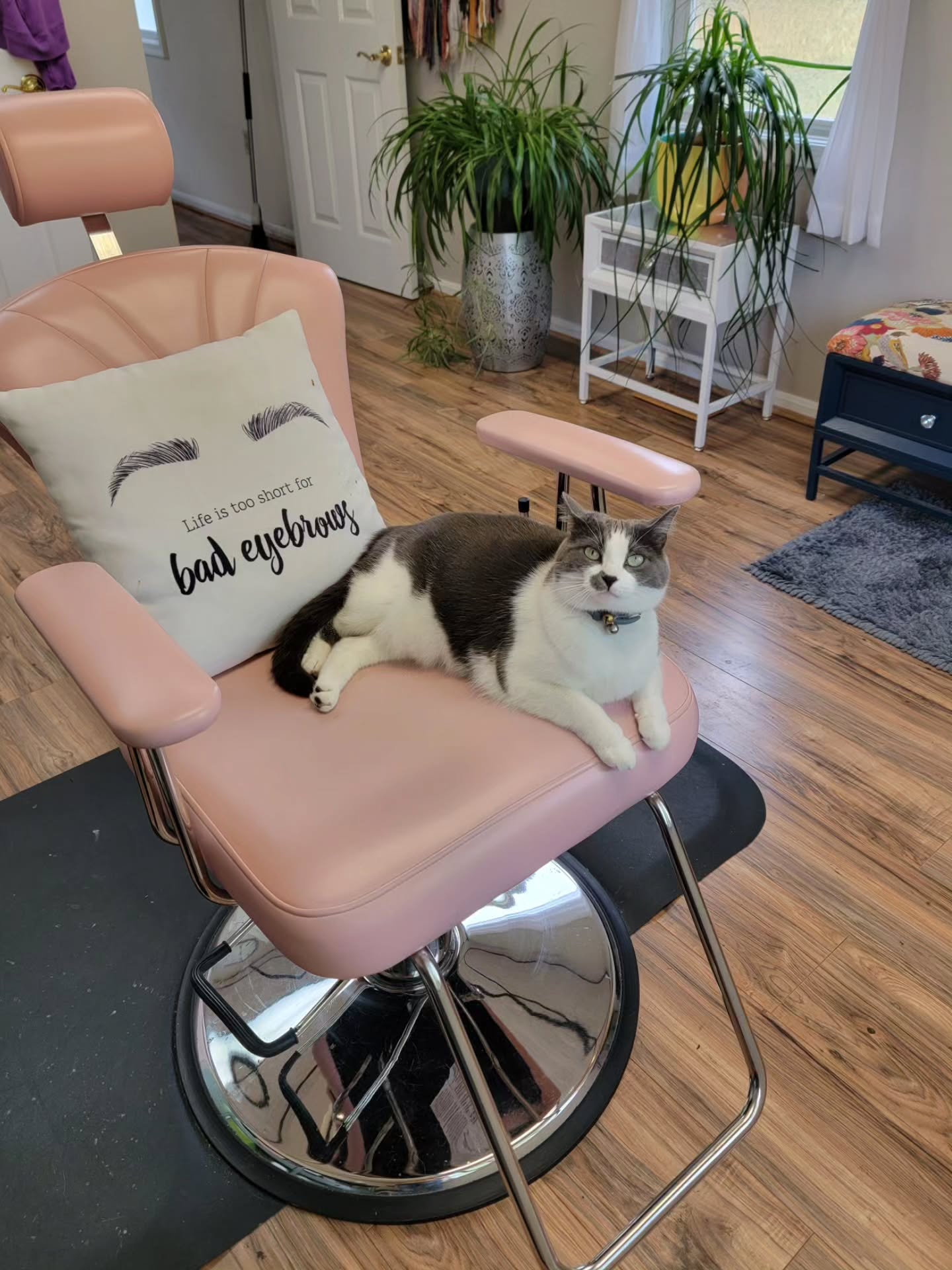 Thank you Tim Parson for the amazing upholstery update you did on my brow chair!! It was time for my sweet pink chair to have a glow up and I'm so happy with the results!! Swipe to see the before and after and for Tim's information if you need affordable upholstery in the Dallas/Hiram area!!!
#timparson #upholstery #beforeandafter