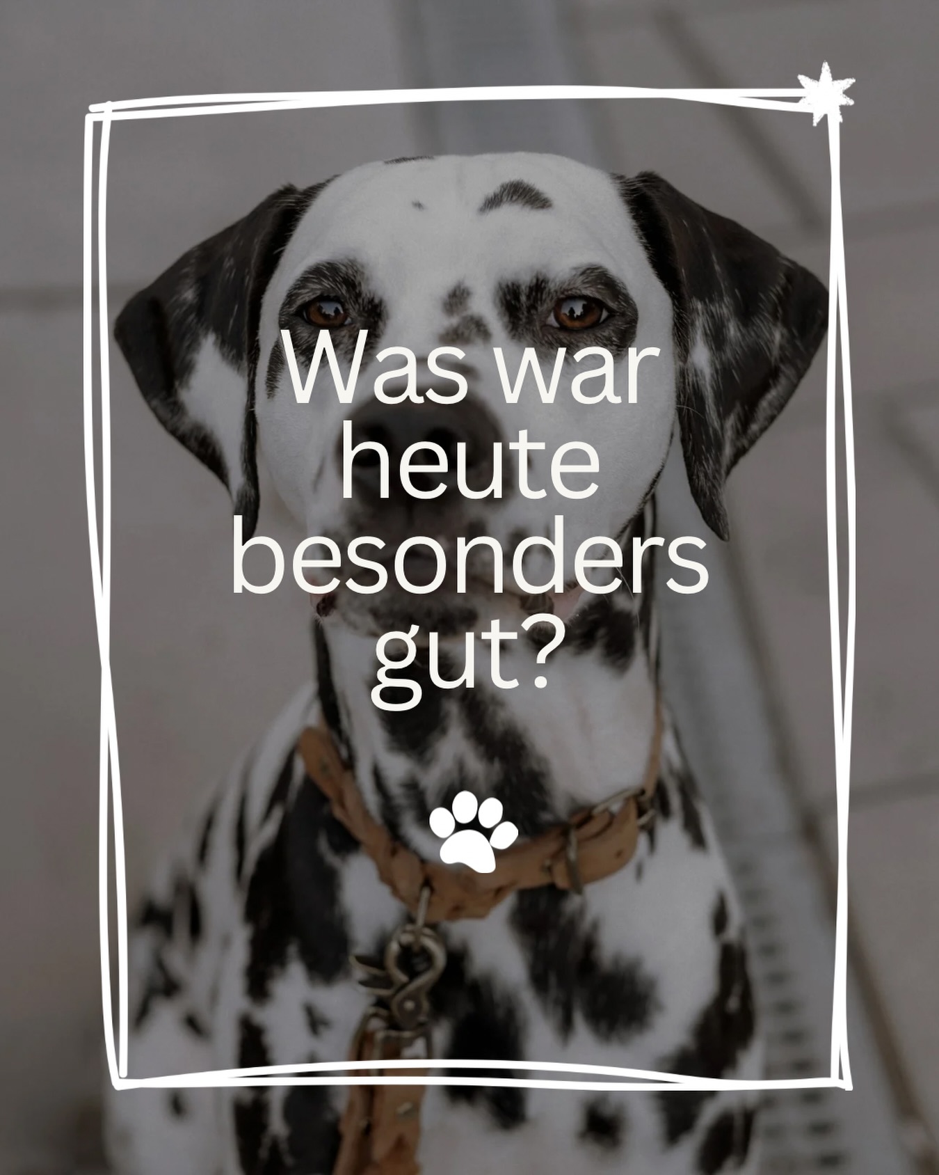 Was war heute in Bezug auf deinen Hund besonders gut? Was ist dir gut gelungen? Was hat dein Hund heute gut gemacht? Habt ihr heute miteinander einen schönen Moment erlebt? Hat dich dein Hund heute zum Schmunzeln gebracht?
Nimm dir gerne ein paar Minuten, um für dich zu reflektieren 🥰
📸 @stadt.pfoten
#reflexion #menschhundbeziehung #menschhundteam #selbsterfahrung