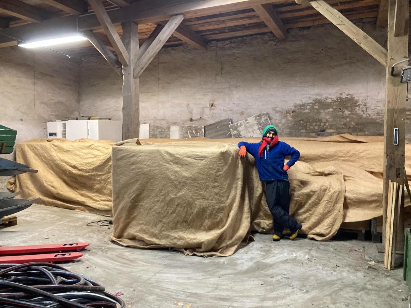 Letztes Wochenende benötigte sogar das Gemüse in der Scheune warme Decken. Auch Gabriel war gut auf die frostigen Temperaturen vorbereitet. Nicht so der Weißkohl (2. Foto), der einfror, aber trotzdem lecker schmeckte. Ab heute soll wohl die Wintertraumlandschaft erst einmal verschwinden. Schade. #solidarischelandwirtschaft #gemüsekiste #eatlocal #solawi #farmtotable #farmlife #frohlawi #biogemüsekiste #Reinickendorf #hohenneuendorf #stolpe #hermsdorf #frohnau #frischvomfeld #FrischeErnte