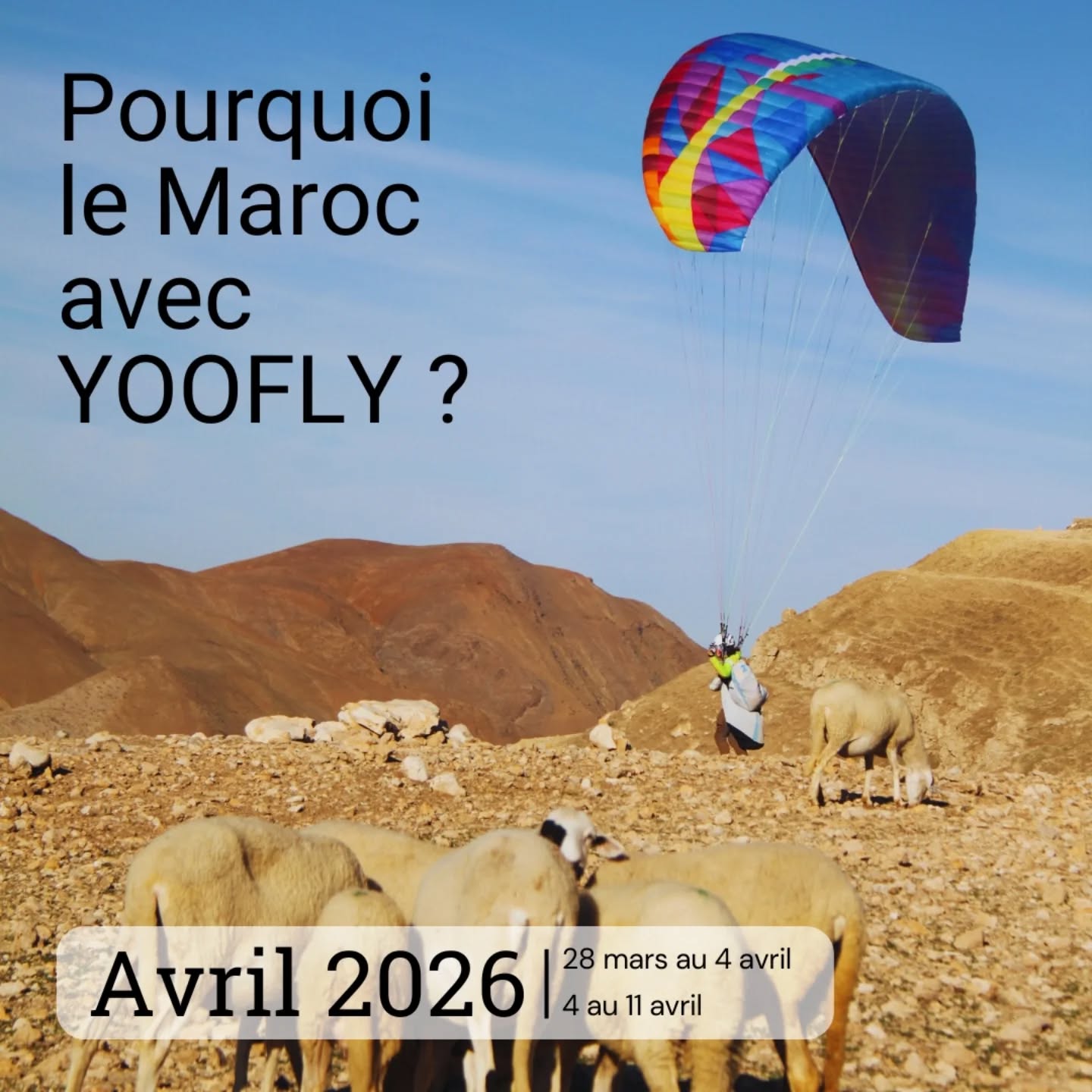 Les 5 bonnes raisons de venir avec nous au Maroc🤸🏻
🌞Avril est définitivement la meilleure période pour le soaring au Maroc🪂
28 mars au 4 avril 2026
4 au 9 avril 2026
Inscriptions sur YOOFLY.ch (lien en bio)
#parapente