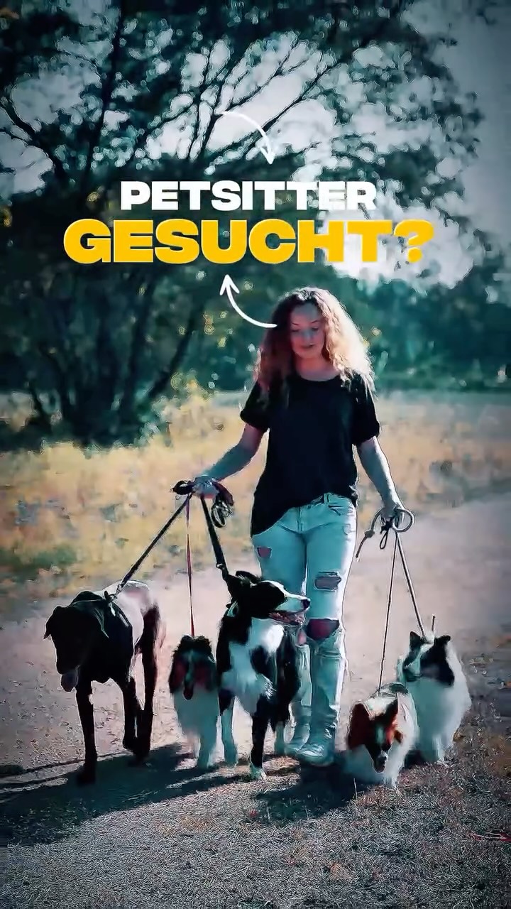 Du suchst einen vertrauensvollen Petsitter? In unserem neuen Artikel im DogRebels Fellmagazin zeigen wir dir, worauf es ankommt – und erzählen von unseren tollen Erfahrungen mit Bastian aus Köln. Regelmäßig kümmert er sich liebevoll um unseren Vierbeiner, stärkt sein Selbstvertrauen und fördert den sicheren Umgang mit anderen Hunden.
Erfahre, wie ein echter Profi den Alltag deines Lieblings bereichern kann – jetzt im Magazin: https://www.dogrebels4u.com/post/vertrauen-und-verantwortung-beim-hundesitter
Schaut euch Bastians Angebote an und holt euch alle Infos 👉 https://die-stupsnase.de
#DogRebels #Fellmagazin #Petsitter