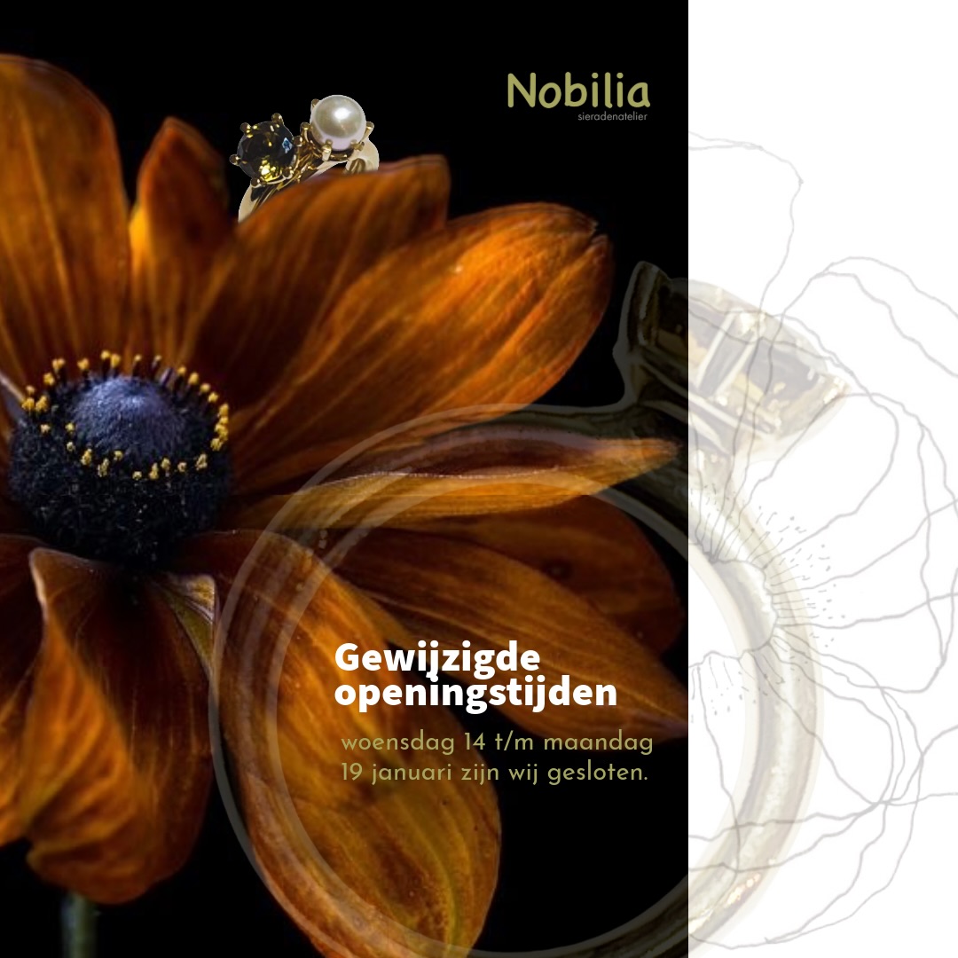 Even Q-time om op te laden en ruimte te maken voor nieuwe ideeën.
Vanaf 20 januari verwelkomen we je graag weer in het atelier.
#nobiliasieradenatelier #goudsmid #sieraden #utrecht