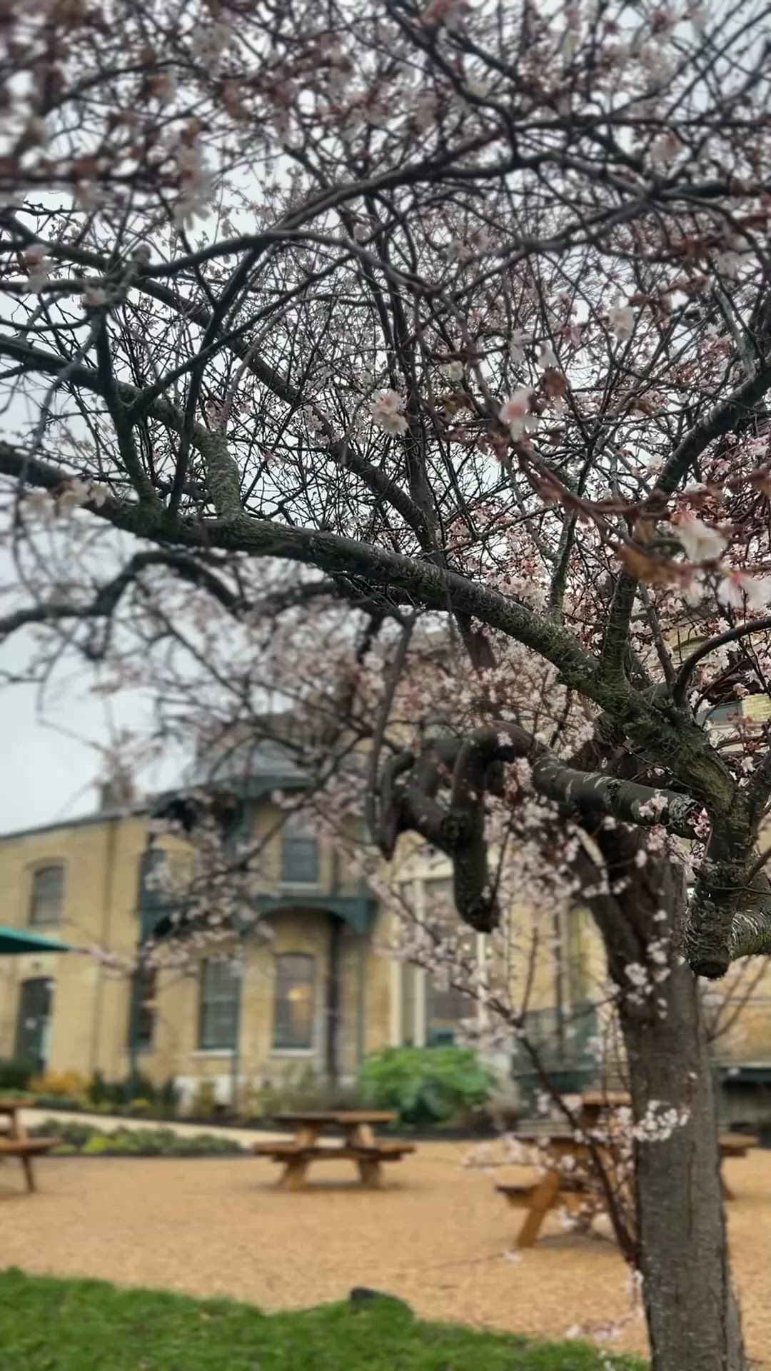 Step inside the heart of Brockwell Hall and discover the magic of The Glassmaker’s Café. 🌿✨