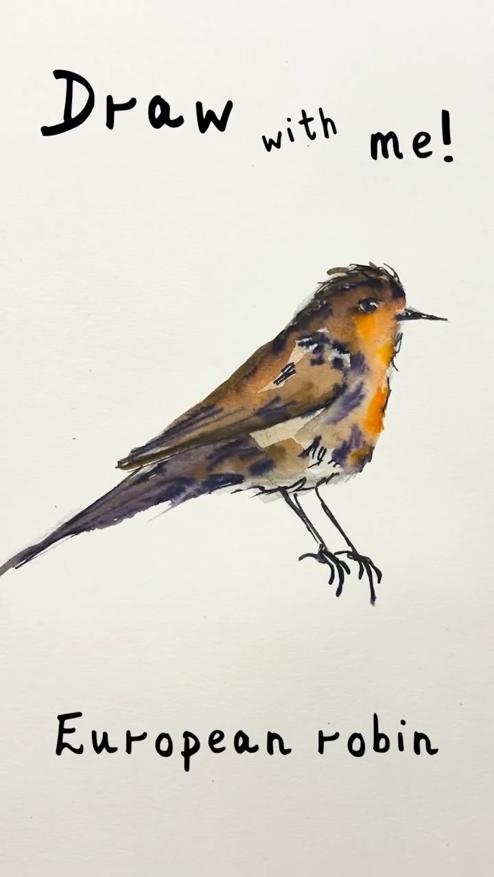 ✨ Draw with me is *BACK* ✨
My plan (!!) is that there’ll be new videos dropping every Monday - I hope you like them ! And if you have requests for future themes, drop them in the comments below 🥰
I even gave “draw with me” a lil theme tune because @estherumsey18 said the crunchy cords that I did for my other mini series 🥹
Anyway ! This week’s theme is a robin! Robins are super active at time of year, as they’re getting ready to find a mate. The ones near me have been displaying to each other lately - which is actually super exciting to see, as normally robins are *so* territorial, that you’ll only see one at a time in an area !
.
.
.
#drawwithme #drawing #robin #winter #art @btobirds @rspb @birdlife.international @birdlife.europe @rspbengland @wwf_uk @lumix