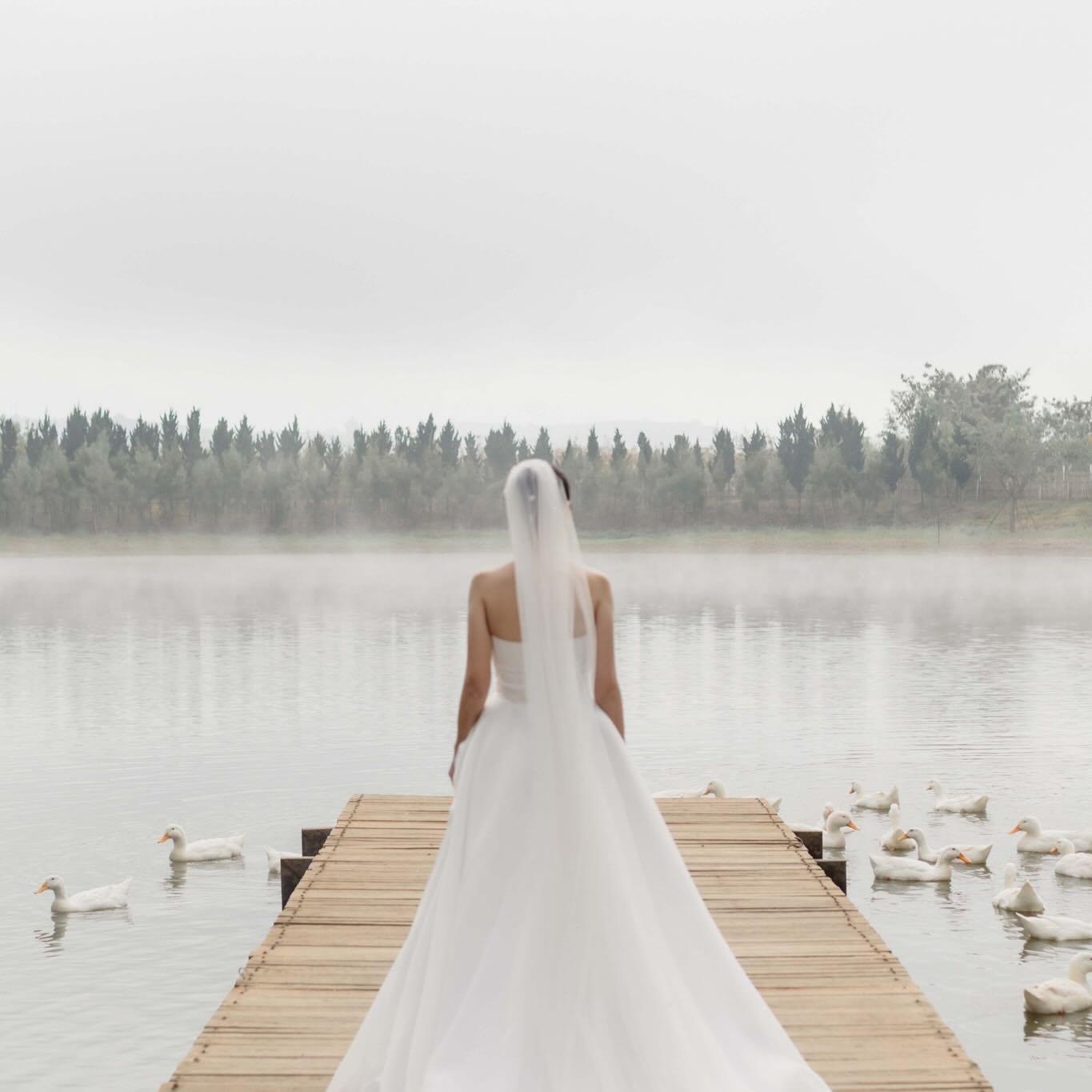 #Wedding #photography #photographer #chiangmai #phuket phuketphotographer phuketweddingphotogtapher phuketdesrinationweddingphotographer thailanddestinationphotographer thailanddestinationwedding aradaphotography photo thailand cmfamilyphoto chiangmaiweddingdestination
fourseasonswedding
chiangmaiwedding weddinginchiangmai weddingtoday chiangmaiphotographer weddingthailand chiangmaifamilyphoto cmfamilyphoto chiangmaidestinationphotographer chiangmaiweddingphoto chiangmaiweddingphotographer
phuketdestinationwedding
chiangmaiweddingphotography