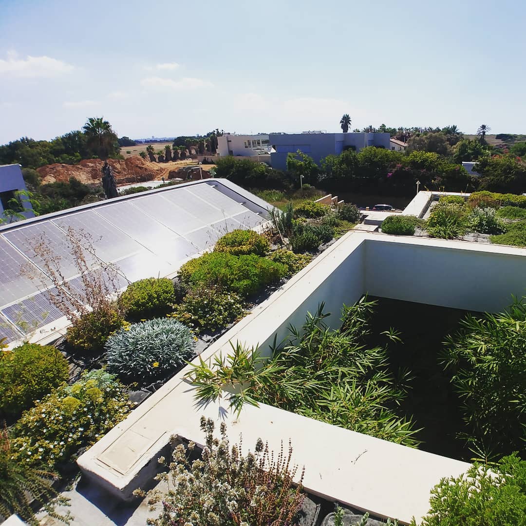 six months old green roof
complimenting a unique super eco360 design by architect Joseph Cory @geotectura
#greenroof, #בנייןצומח, #bldveg, #גגירוק, #oikosteges, #גגצומח, #xeroflor, #israel, #arsuf, #eco360, #geotectura, #josephcory, #בנייהירוקה