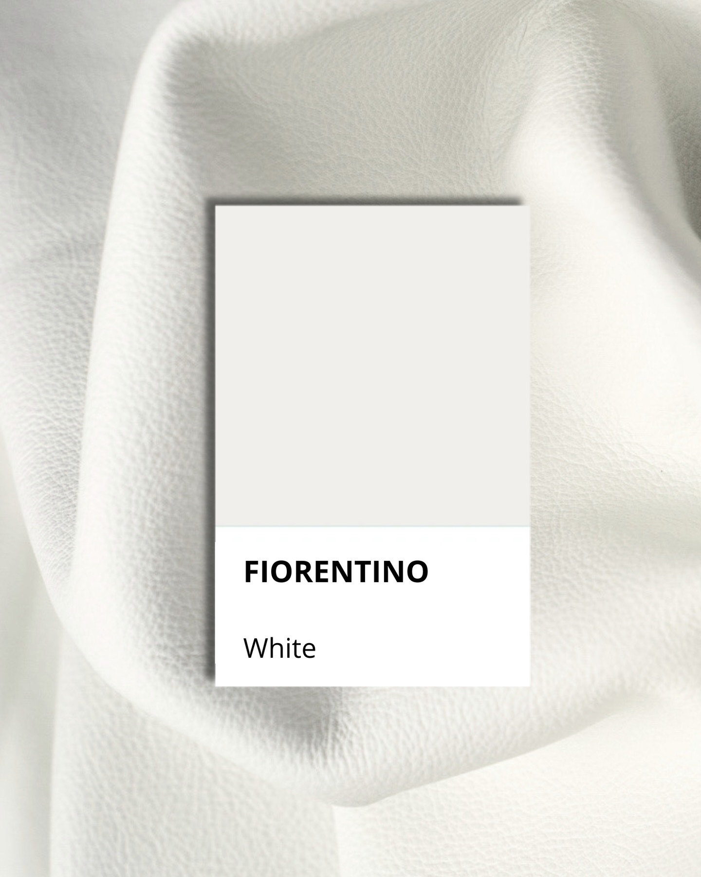 Cloud-soft leather.
What’s the color of the year for you? ☁️🤍
#tannery #leather