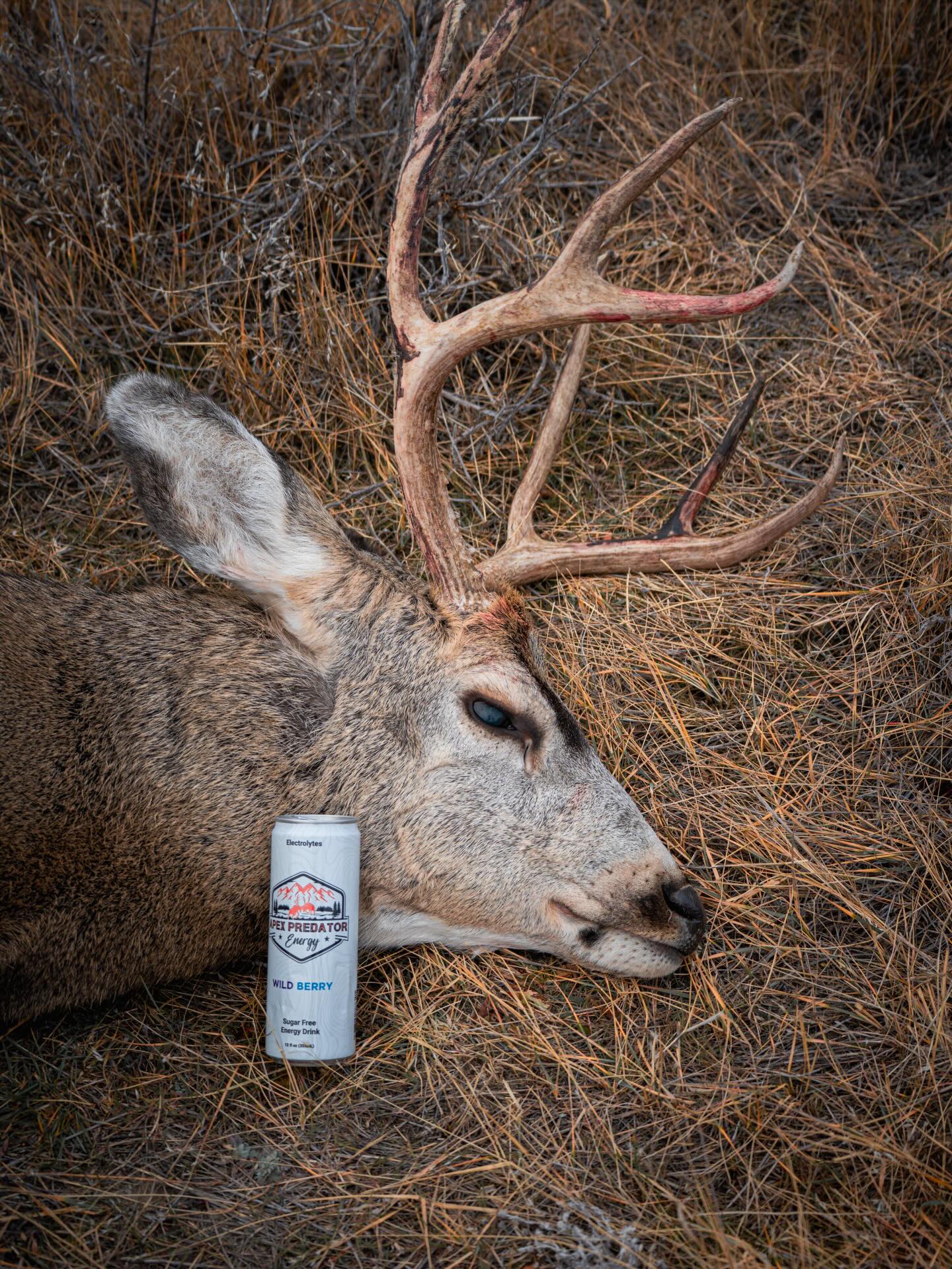 Fuel built for the persuit. Stay focused on the chase all day long with Apex Predator Energy.
With 150mg of caffeine and rehydrating electrolytes this is the best energy drink for hunters.
Fuel your hunt with Apex Predator Energy.
#apexpredatorenergy #hunting #huntaz
