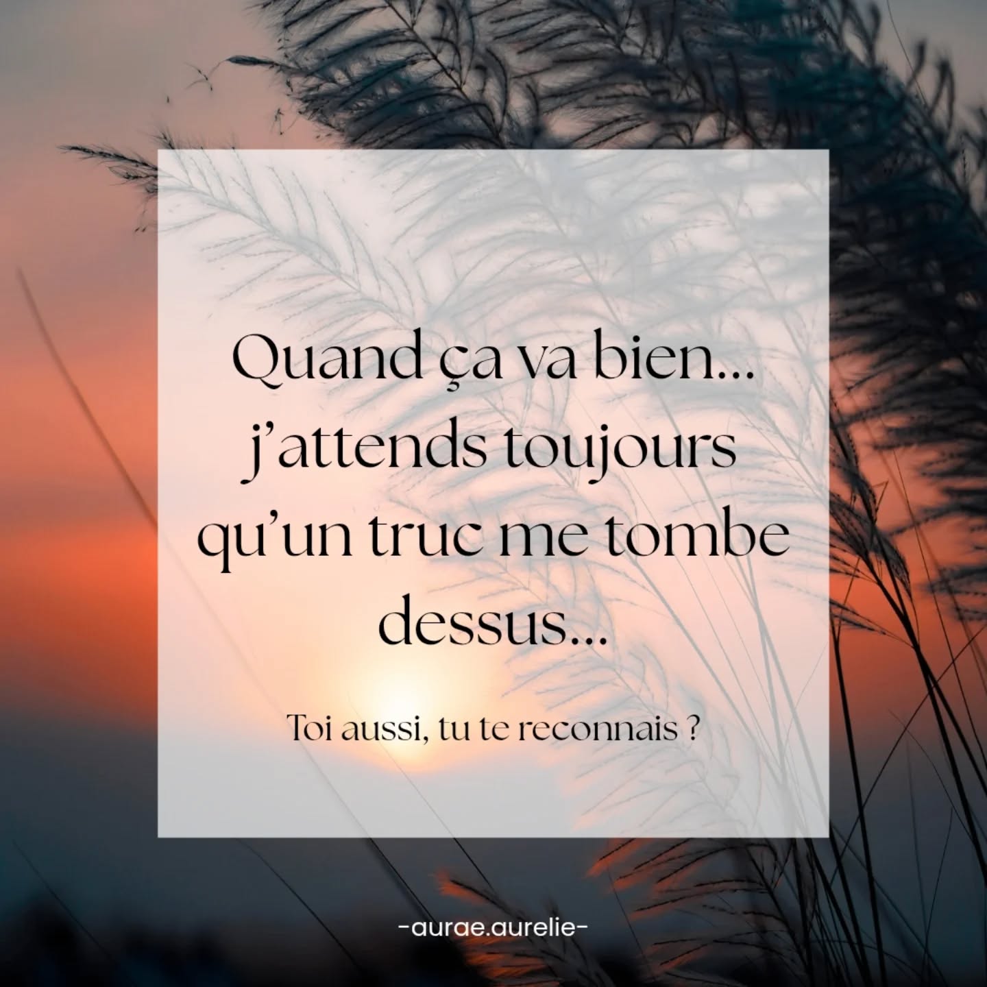 C'est un sujet que j'ai bien connu et auquel il m'arrive, dans certaines circonstances, de retomber...
En effet, pour certaines personnes, le calme est plus insécurisant que le chaos.
Parce que le corps a appris à survivre, à rester en hyper vigilance, et pas à recevoir.
Le travail, ici, ne consiste pas à se convaincre. Mais plutôt à créer de la sécurité pour que la vigilance puisse se reposer.
Et si tu pouvais t'autoriser à aller bien... qu'est-ce qui te fait encore peur ?
✨️
Je suis Aurélie, énergeticienne ancrée dans la réalité et subtilement connectée.
J'aide les personnes qui doutent d'elles-mêmes à se libérer de leurs blocages émotionnels pour oser à passer à l'action.
Sur ce compte, je te montre comment sortir de ton autosabotage, en douceur et avec clarté.
✨️Spéciale dédicace pour G. une de mes consultantes