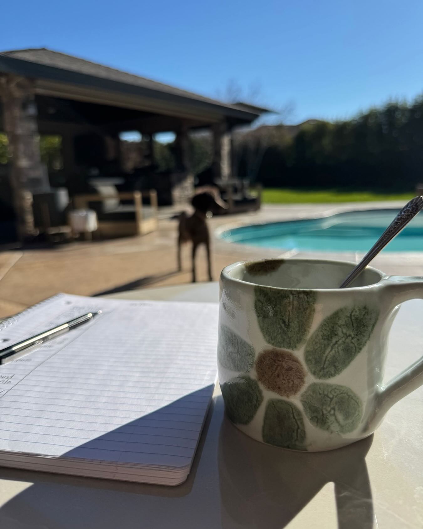 Soaking up this California sunshine ☀️ planning my dye schedule for the rest of the week #BLESSED