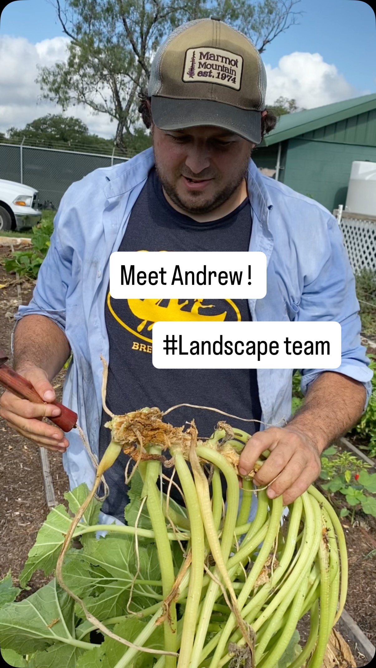 If your zucchini or pumpkin vines are suddenly wilting, you aren’t just looking at a “bug problem”you’re looking at Anasa Tristis, the Squash Bug. 🎃🕵️♂️
Most people reach for heavy duty pesticides the moment they see a bug, but that often does more harm than good by killing the bees we need for pollination. 🐝
Here is a natural way to win the war on squash bugs without nuking your garden:
1.Squash bugs lay clusters of shiny, bronze colored eggs in the “V” of the leaf veins. Don’t wait for the bugs to hatch. Rub the eggs off with your thumb or use a piece of duct tape to “wax” them off the leaf. Prevention is 10x more effective than treatment.
2. Squash bugs inject a toxic saliva into the plant to help them suck out the sap. This causes “Sudden Wilt.” If only one leaf is wilting while the rest look okay, check the base of that specific stem immediately!
3. Tachinid flies are natural enemies of squash bugs. By planting flowers like dill, cilantro, or alyssum nearby, you’re inviting the “good guys” to do the pest control for you.
At Landscape Cooperative, we believe that a beautiful landscape starts with understanding the biology of your backyard. Remember, we don’t just manage gardens, we manage ecosystems. 🌿✨
#SquashBugs #GardenPests #SustainableGardening #IPM #OrganicGardening #PhDStudent #LandscapingExpert#landscapecooperative
Please visit our link in our bio👍🏾