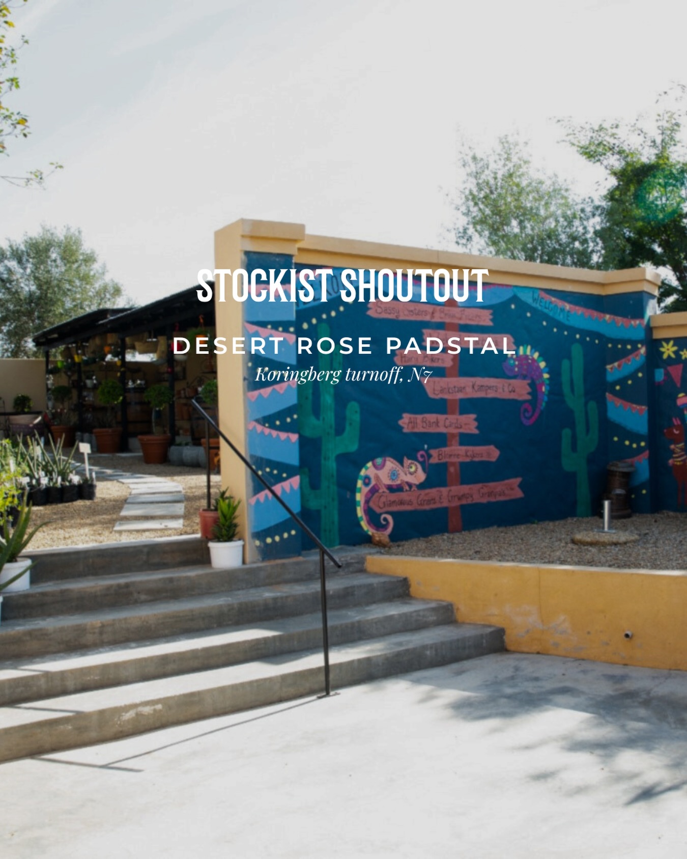 Reset your compass, and let the adventure begin 🧭🍷🧺
BESTER Family Wines are now available for purchase at @desertrosefarmstall!
Situated 120km north of Cape Town on N7, at the corner of the N7 and Koringberg turn, it’s the ideal spot to stop and take a breather when you’re en route to the West Coast, Namibia or the Northern Cape.
The indoor and outdoor restaurant caters for up to 60 visitors and is fully licenced. The farm stall is pet- and child friendly and offer a jumping castle, jungle gym and lots of open space to run! Find our wines in their convenient shop.
Open 7 Days a week | 8:30am to 4:00pm
www.desertrosefarmstall.co.za | Karin: 083 484 2004
#SwartlandStopovers #DesertRoseFarmStall #RoadTripDestinations #BestFarmStalls #SouthAfricanFarmStall