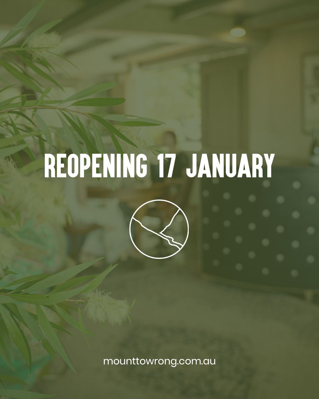 We’re back from break and ready for another year on the mountain.
The cellar door reopens Saturday 17 January - join us for Mediterranean-inspired wines, handmade pasta, and fresh summer air.
.
.
.
.
.
.
.
#mounttowrongvineyard #mounttowrong #macedonranges #macedonrangeswine #victorianwine #australianwine #cellardoor #macedonrangesnaturallycool #wineandfood