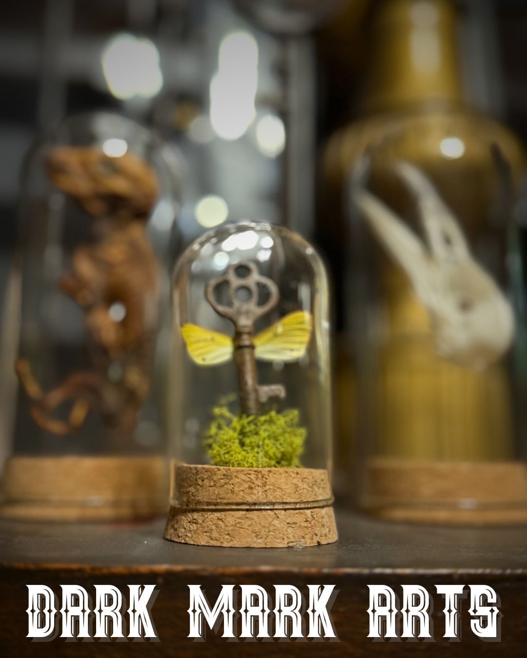 Discover the magic…
#magic #discovery #oddities #uniquegifts #supportartists