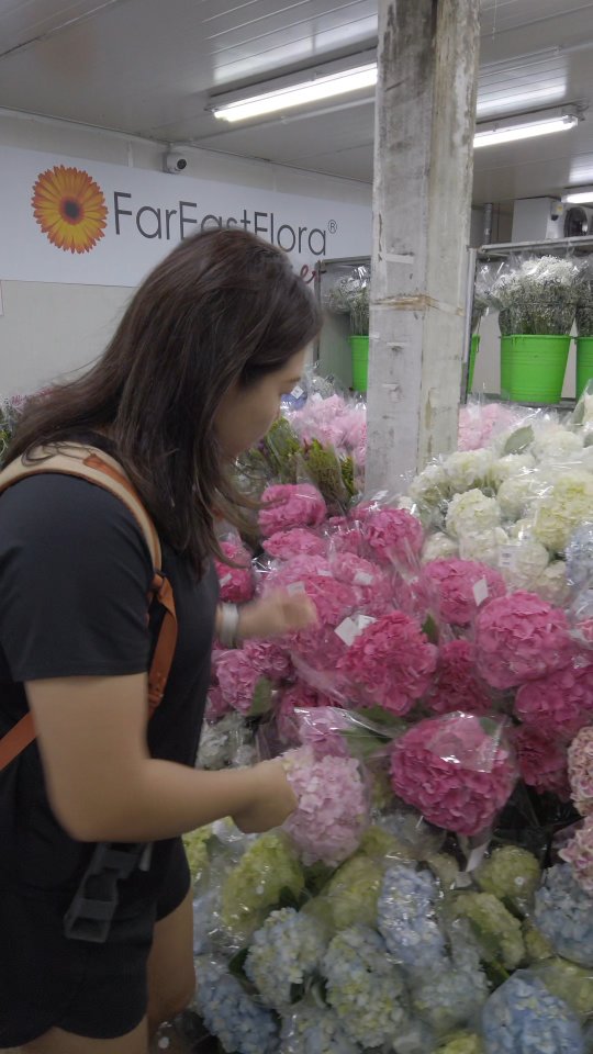 在开花艺课之前,去花市买花,给大家的一点小分享,如何选花。
有兴趣上花艺课,可以dm / wa us at 85717679
#花市选花 #花艺技巧 #花艺师日常 #做花的人