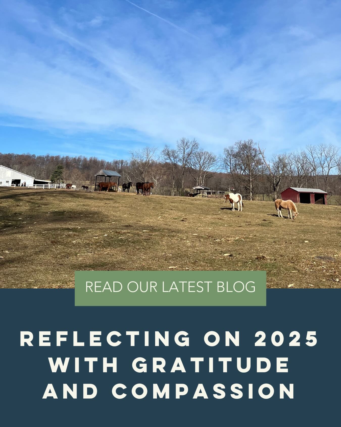 As we close the chapter on 2025, our hearts are full of gratitude for the incredible community that surrounds Ryerss Farm! ๐๐ Thank you to all our visitors, volunteers, donors, and sponsors, whose generosity makes everything we do possible.
Read our latest blog to relive the moments that made 2025 so special, and mark your calendars for another year of exciting experiences in 2026, including the return of our popular Family Fun Day!
Together, we make a differenceโone event, one kind act, and one moment of compassion at a time.
Click the link in our bio to read our blog and see our upcoming events!