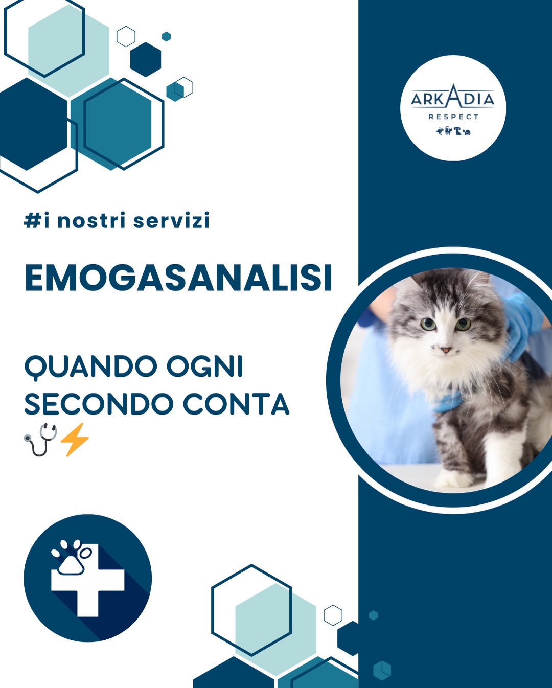 Quando la situazione è delicata, servono risposte immediate ⏱️🩺
L’emogasanalisi è un esame rapido che permette di valutare in tempo reale parametri vitali come ossigenazione, equilibrio acido-base e funzionalità respiratoria 🧪📊
È fondamentale nei pazienti critici, in terapia intensiva, durante interventi chirurgici o in caso di emergenza 🚑🏥, perché aiuta il veterinario a prendere decisioni rapide e mirate.
Più controllo, più sicurezza, più attenzione per il benessere del tuo animale 💙🐶🐱
📍 Arkadia Vet Clinic – Cassino
#arkadiavetclinic #emogasanalisi #diagnosticaveterinaria #terapiaintensivaveterinaria #clínicaveterinária