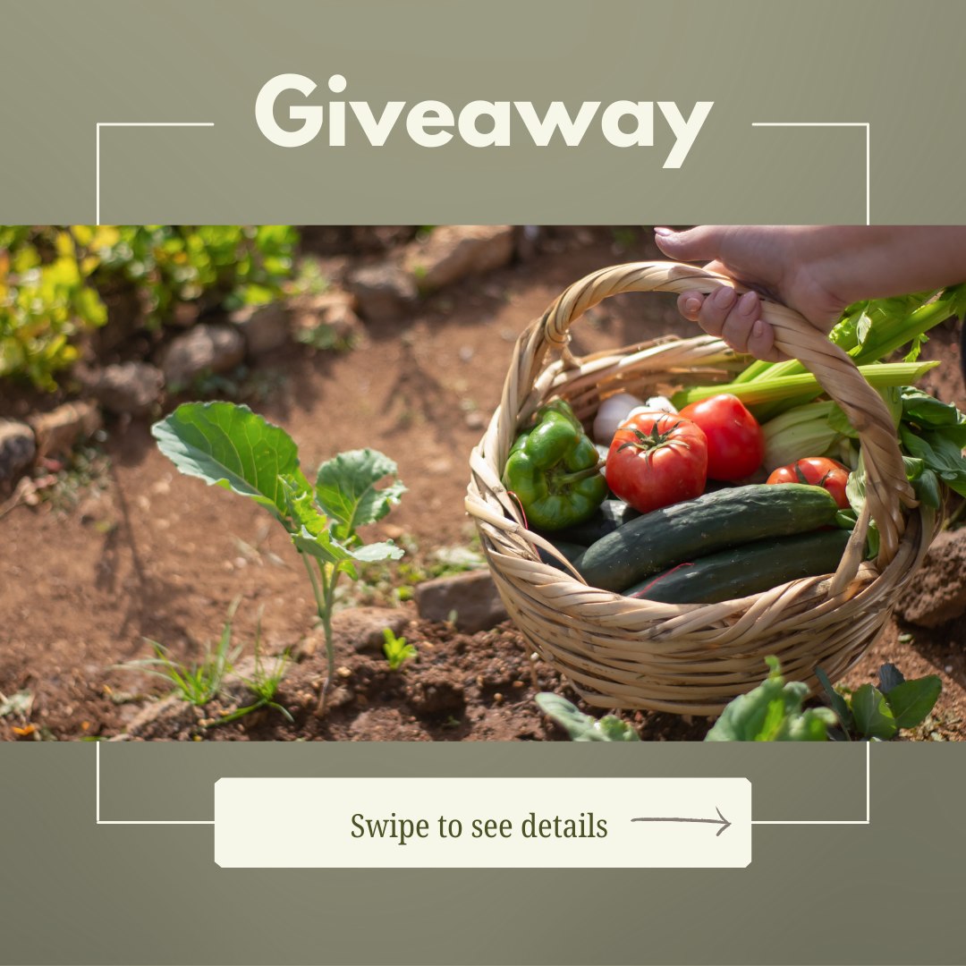 It’s giveaway time!! 🎉🌱
Here’s how to jump in:
• Follow the GSL page
• Tag a few friends who’d love a little garden-inspired gift
• Comment your favorite thing to grow in the garden!
That’s it — you’ll be entered to win a $20 credit toward any GSL products or plans.
Good luck, friends!