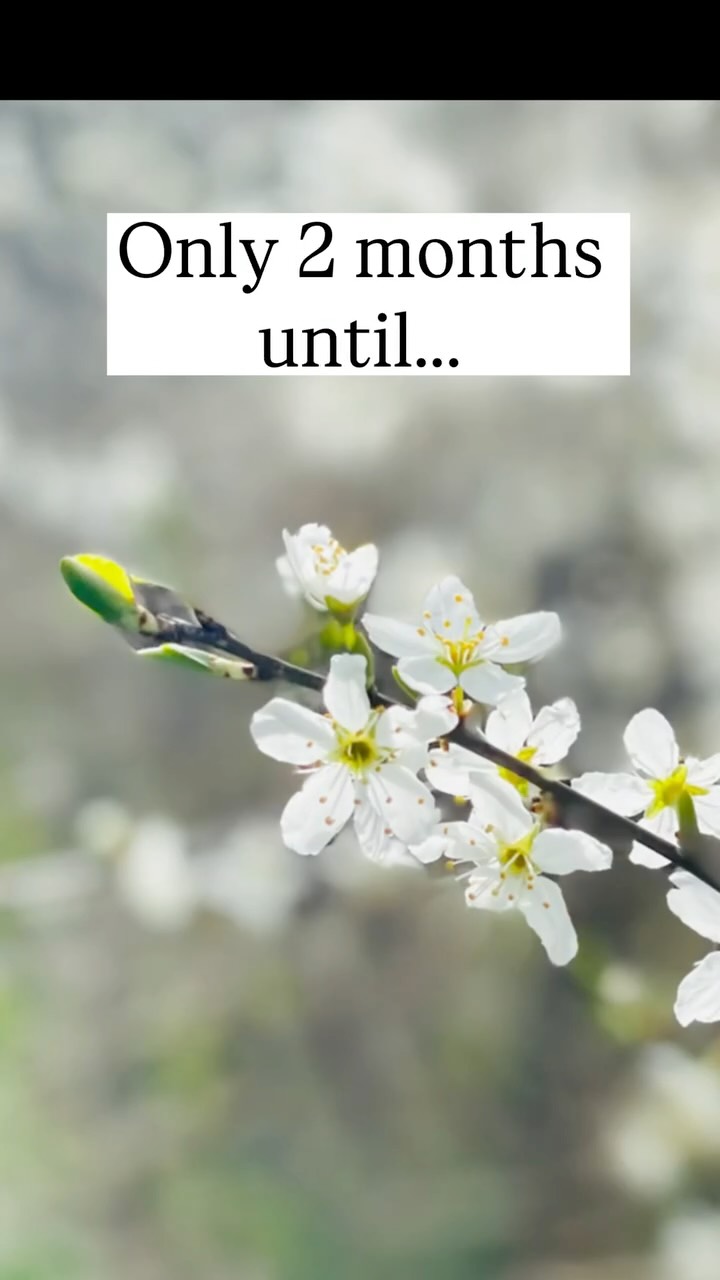 Not long now folks! In only two months time we will have these beautiful blooms and more⦠I personally love the blossoms. Whatās your favourite early spring flower? #springflowersšø #garden #wintergarden