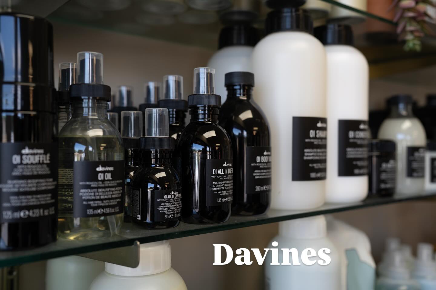 You invest in salon colour…why risk it with the wrong shampoo?
✨Fall in love with @davinesofficial and keep your hair feeling and looking amazing in between colour sessions✨
.
.
.
.
#davinesnorthamerica #davines #billingsmt #haircare #billingssalon