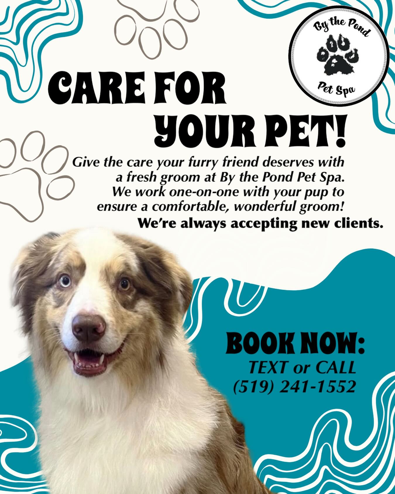 Let us give your dog a groom you’ll love, as much as you love your pup! 🐾
Text or call us to book today: (519) 241-1552
#doggroomer #cambridgeontario #doggrooming #dogsofinstagram #doggroominglife