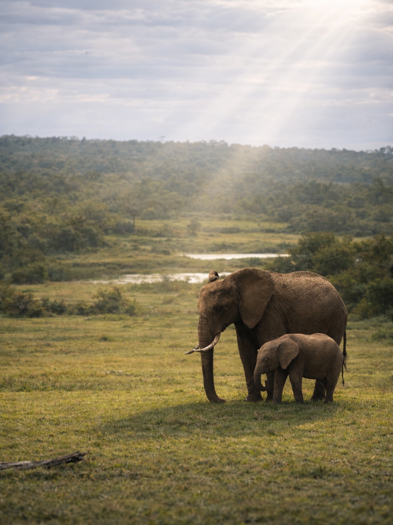 Kenya & Tanzanie, l’Afrique à l’état pur
Terres de safaris mythiques et de grands espaces, le Kenya et la Tanzanie offrent des rencontres uniques avec la faune sauvage, au cœur de paysages spectaculaires.
@dmcgreeninspirations accompagne les agences de voyage françaises dans la création de voyages sur mesure, authentiques et responsables au Kenya et en Tanzanie.
Un partenaire local engagé, au plus près du terrain.
#Kenya #Tanzanie #SafariAfrique #GreenInspiration #DMCKenya DMCTanzanie VoyageResponsable AgencesDeVoyage