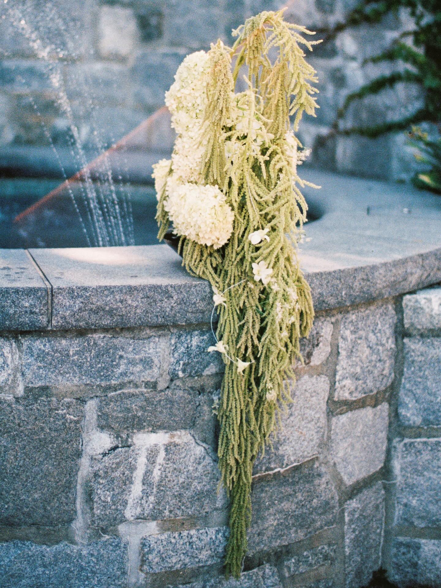 Pool side floral waterfall for N & M, last summer in Mystic.
📸: @kearies
@goodgracesevents
@natmrcs