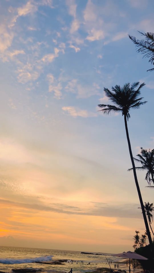 This is the magic of gurubebila. Cows wander around and the village moves to it's own gentle rhythm.
There's no rush here - Come experience yourself.
This place has a feeling✨️
📷 @aoifemcmahonwriter
#gurubebila #lionsrest #weligama #surfsouthsrilanka #srilankatravel
