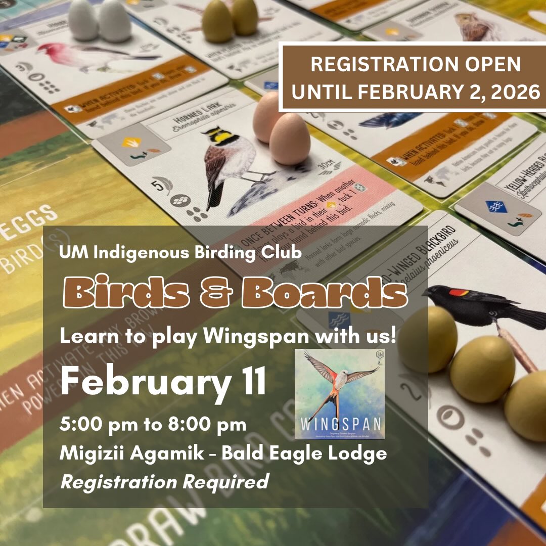 Join us for our “Birds and Boards” event! Warm up indoors with the University of Manitoba Indigenous Birding Club on Wednesday, February 11th, from 5-8 PM at Migizii Agamik – The Bald Eagle Lodge.
Come play Wingspan, the relaxing bird strategy game, enjoy some pizza, and win prizes! We will be joining to show you how to play. No prior bird knowledge is necessary to enjoy the game, but you will learn fascinating bird facts as you play.
This event is for UM students, staff, and faculty. There is no cost to participate, and you do not need to bring anything with you.
Registration is open until February 2nd, 2026 and can be found in our LinkTree (in our bio)!