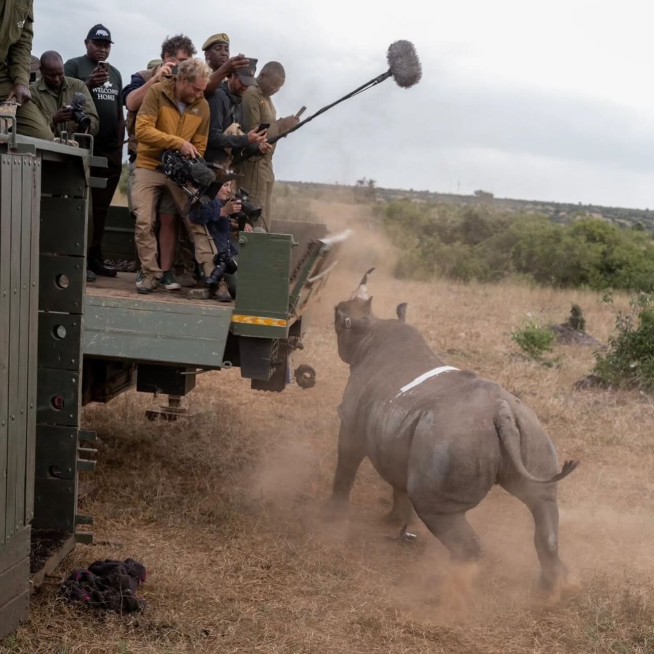 RHINO — now streaming 🎬🦏
In early 2024, Loisaba Conservancy became the new home for 21 eastern black rhinos in one of Kenya’s most significant conservation translocations in decades.
RHINO captures this extraordinary journey — from planning and transport to release — following the people on the ground working to secure a future for one of Africa’s most endangered species.
Narrated by Tom Hardy, the film offers a rare, behind-the-scenes look at the scale, complexity, and urgency of moving rhinos across landscapes to create safe, connected populations where they can thrive.
🎥 Available now to watch in the UK on Amazon Prime and Apple TV.
Every successful translocation is more than a move — it’s a statement of hope, collaboration, and long-term commitment to conservation.
Watch RHINO and witness how science, security, communities, and conservation come together to give these iconic animals a fighting chance.
@rhinothemovie @dustoff_films @tomhardy
Photos: @chancellordavid
#RHINOdocumentary #BlackRhino #LoisabaConservancy #RhinoConservation #WildlifeConservation Laikipia ConservationInAction