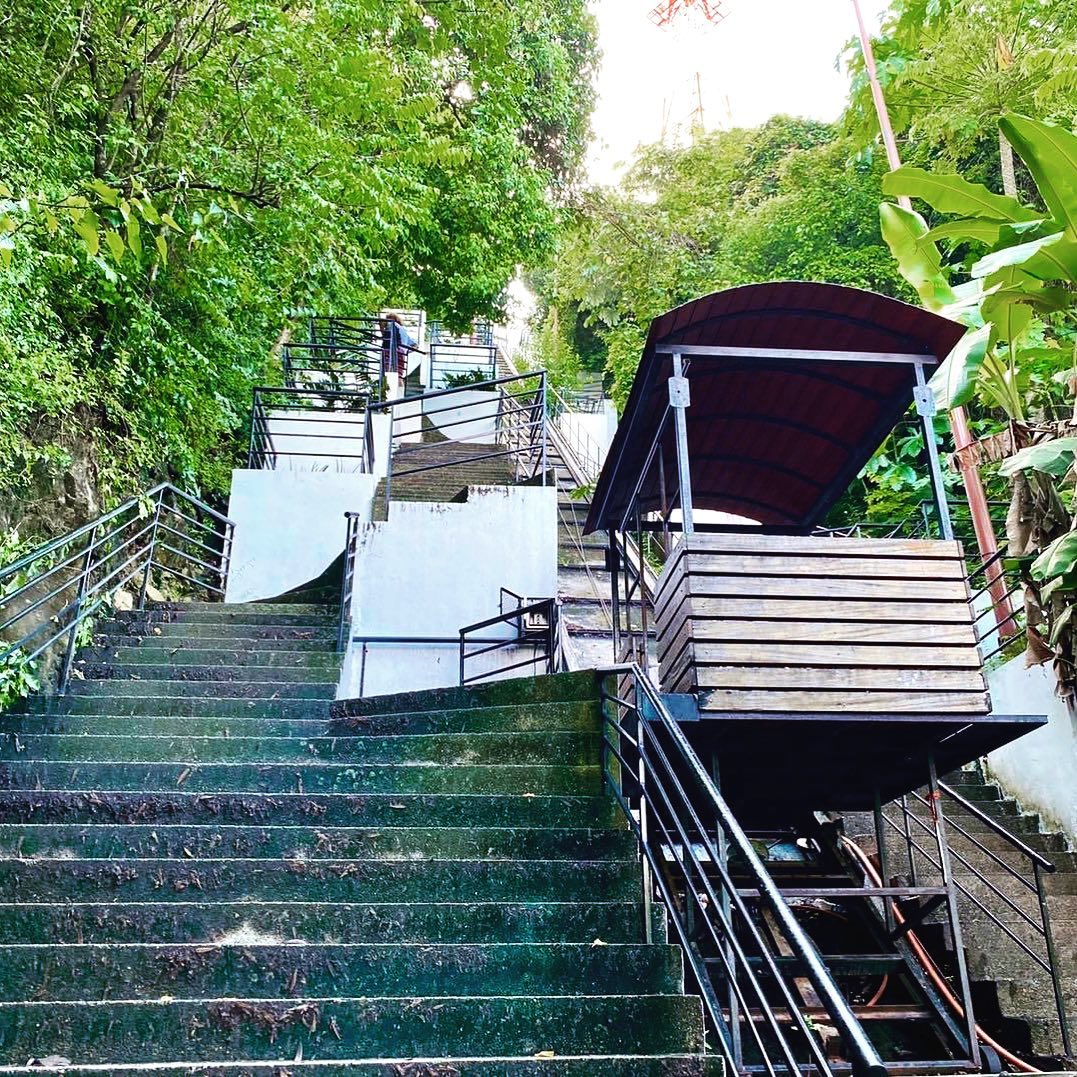 On the way to the top! Join the walk to the highest lookout in town. #lacruz101
www.vallarta101.com