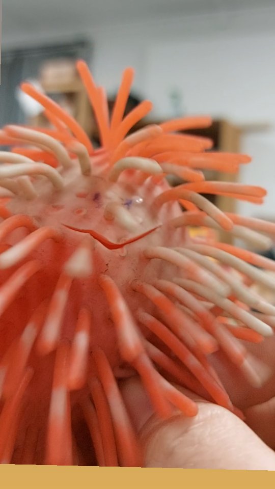 Lalala-lala am ASP #asp #rennbahnweg