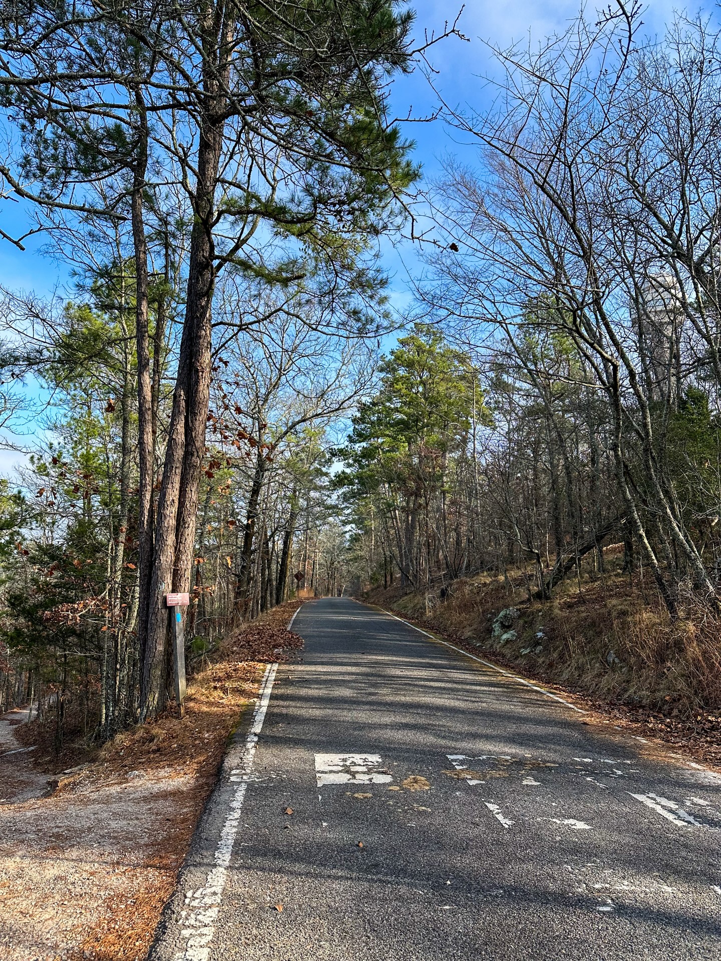 When I got back to work from my long New Years weekend, my boss and coworkers asked me how my weekend was. I casually mentioned that we did some hiking, went to horse races, and did some other cool activities in Hot Springs, Arkansas. Their reaction:
“Wait, you weren’t in Texas??”
“I drove by your house and waved thinking you were home!”
“You’re always going somewhere.”
Oops 😅
.
.
.
#VisitHotSprings #TheNaturalState #YesVisitTheUSA