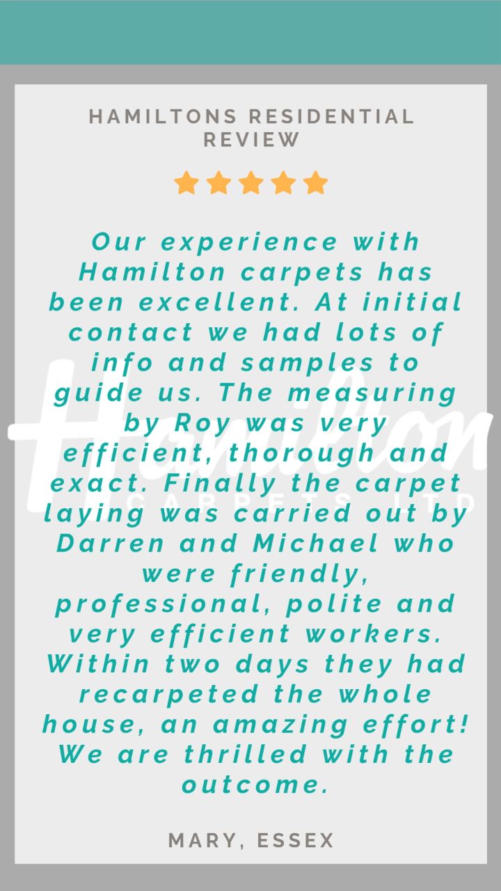 Another 5⭐️ review this week for the Hamiltons team ✨
Professional, reliable, and results that speak for themselves. We love what we do 💚🩶
Ready to book? Send us a DM 📩