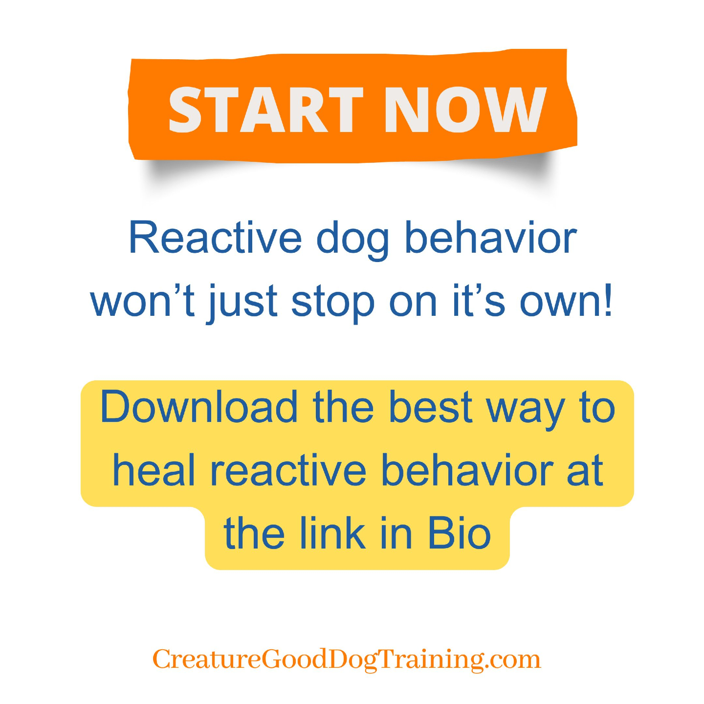 The longer you let any unwanted dog behavior - including reactive behavior - continue, the worse it will get and the harder it will be to change.
Download my NEW free resource: 3 Small Changes That Create Big Relief for Reactive Dogs & Their People at the link in my bio.