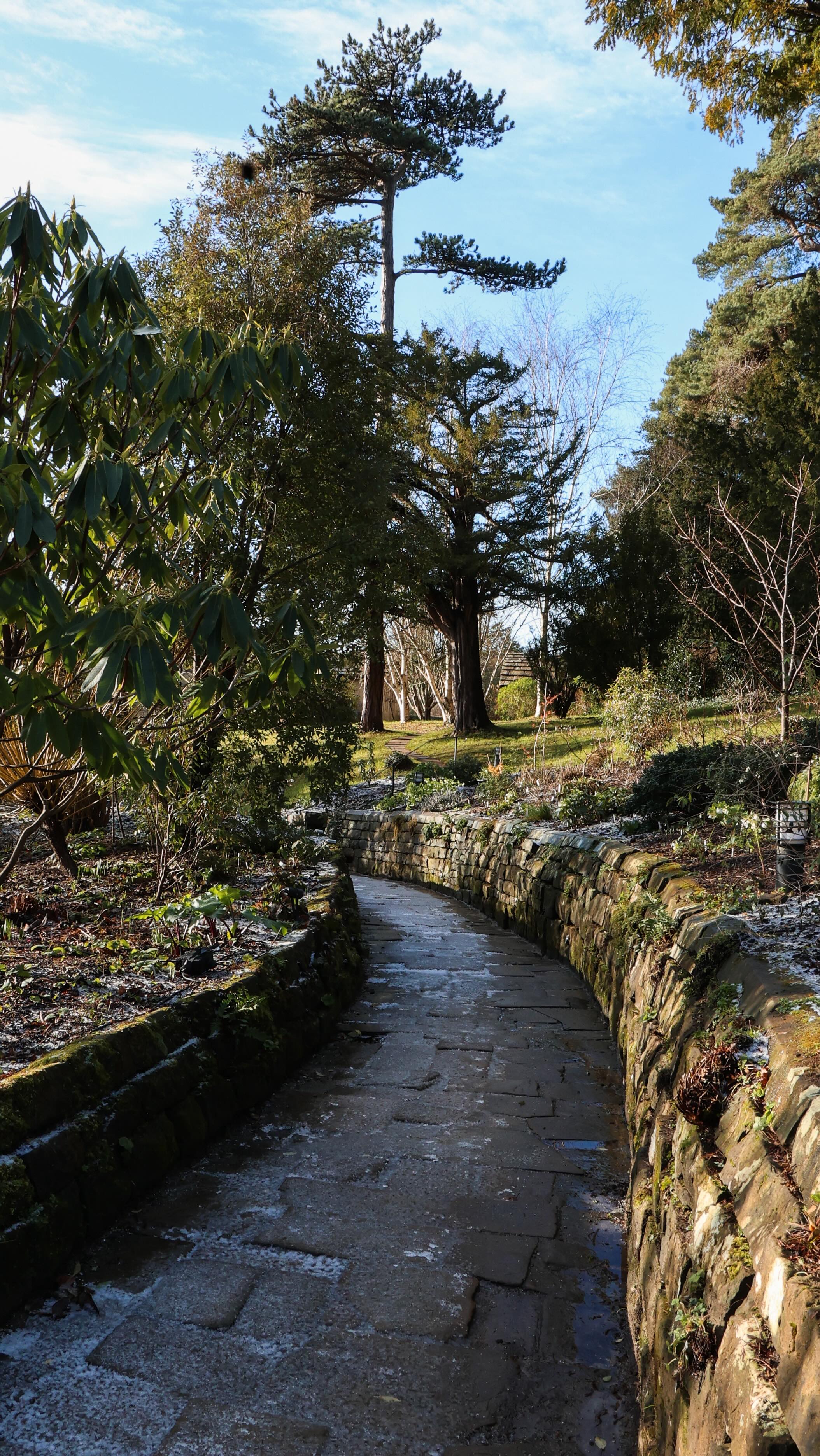 An interlude - Gravetye in winter.
A morning filmed in frost and quiet, breath turning to clouds in the air and each step crisp beneath our feet.
We moved through winter structure and sleeping borders, seasonal plants holding their shape in the stillness. Two gardeners in conversation, sharing knowledge shaped by years of watching and waiting.
A morning of beauty, captured for Borde Hill and kept, too, in my own memory.
#Gravetye #GravetyeManor #WinterGarden #WinterLandscape #Garden