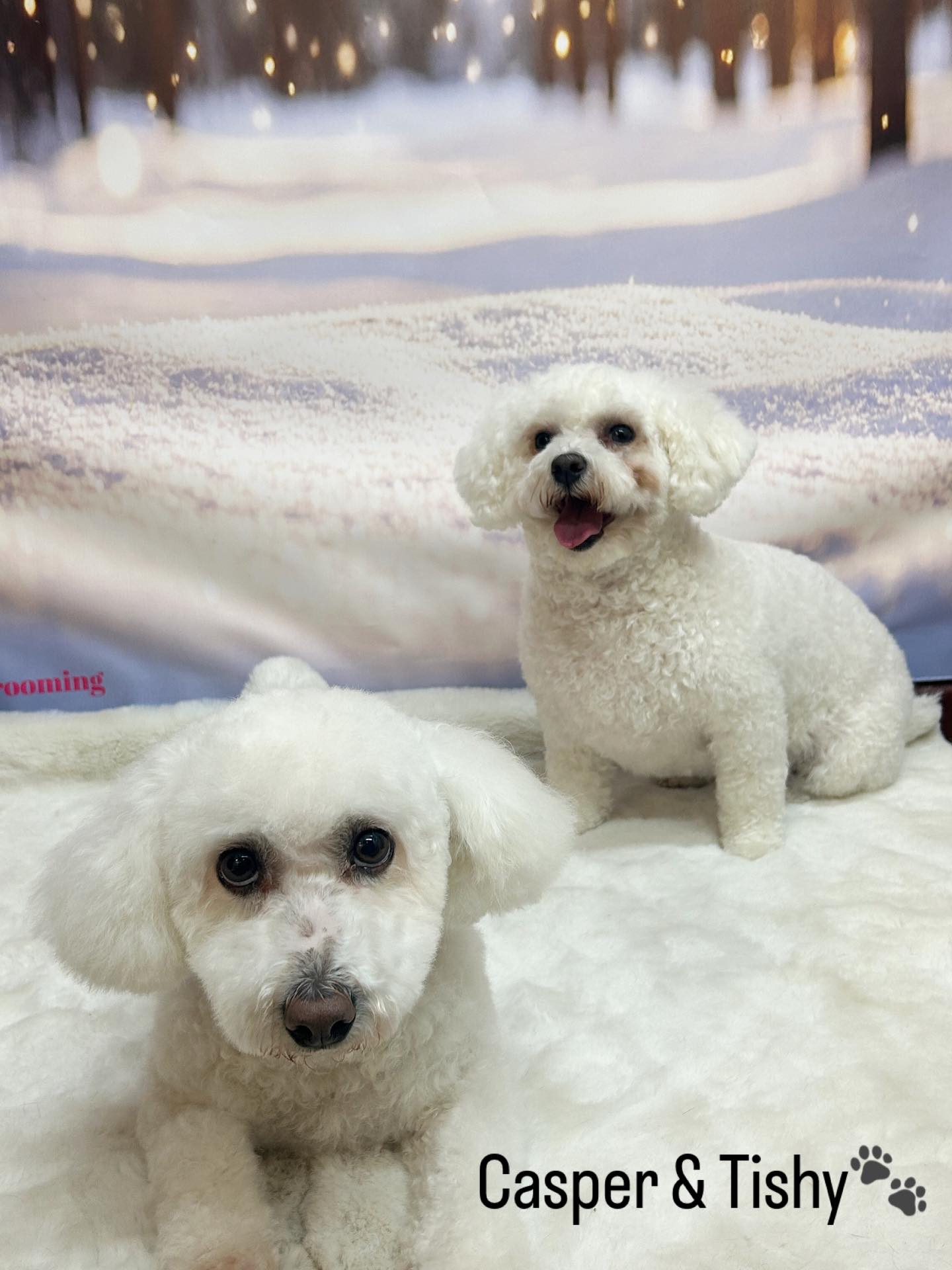 13/01/26 These two are rocking this picture🥰✨🐾
#siblingslove❤️ #cute