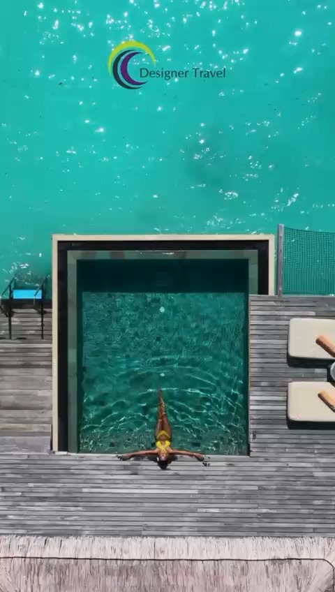 Hi there,
I would like to think you know the advantages of booking a holiday with me, but here's a trendy video if you need reminding.
If you are wondering, yes ofcourse that's me relaxing in my private pool in the Maldives 🤣
Susan x
#supportlocalbusiness #personaltraveladvisor #professionaltravelexpert #travelexpert #independenttravelagent #luxurytravelexpert #northamptonshirebusiness #thrapstonbusiness#titchmarshvillage#welcometothrapston#oundlebusiness