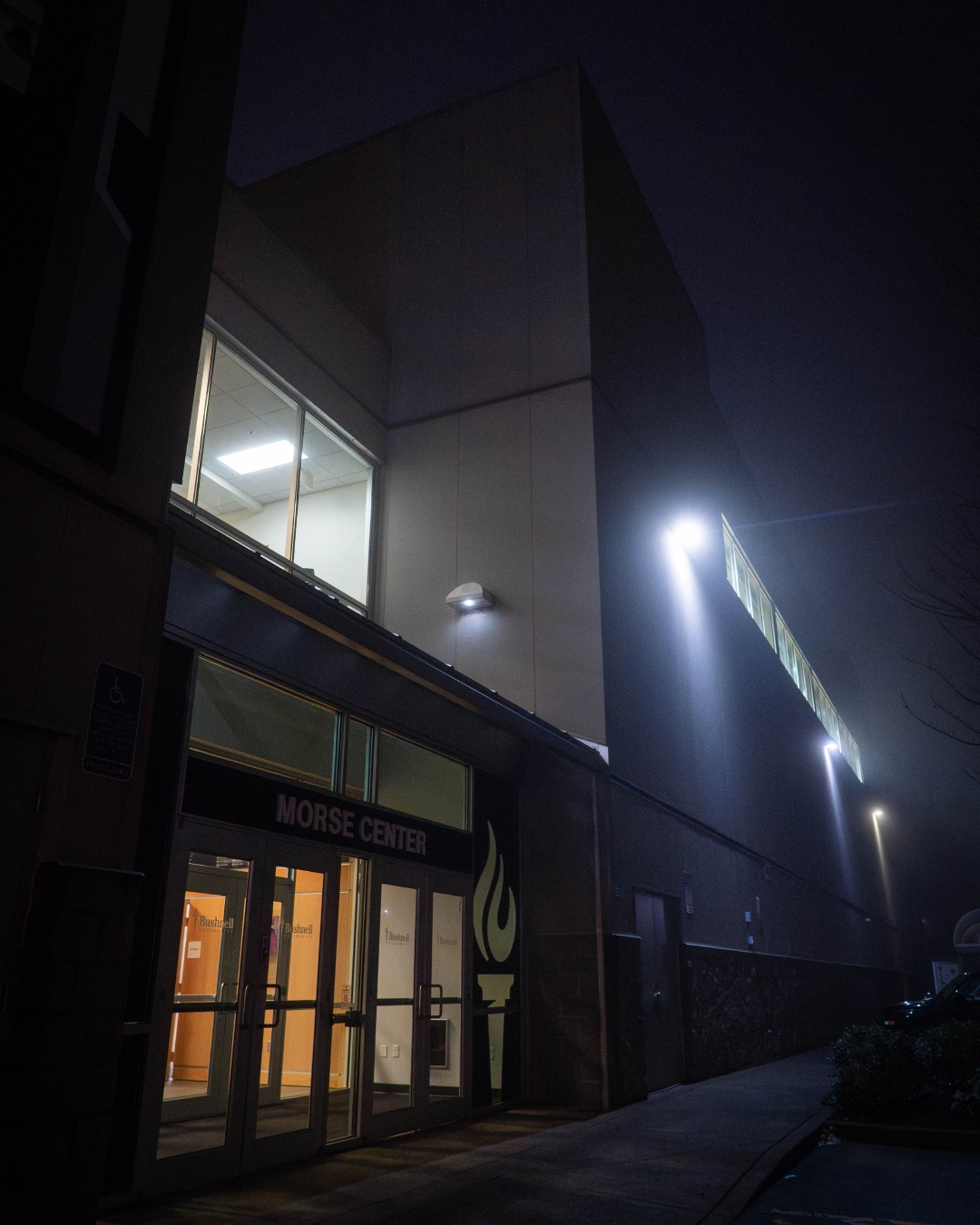 It may be a wintry, foggy, and cold time of year again, but we’re still shining bright! 💡