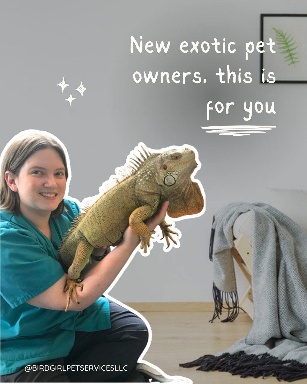 If you are new to owning a reptile, bird or rabbit you are not alone 💛
There is a learning curve and that is okay.
What is your biggest question right now 👇