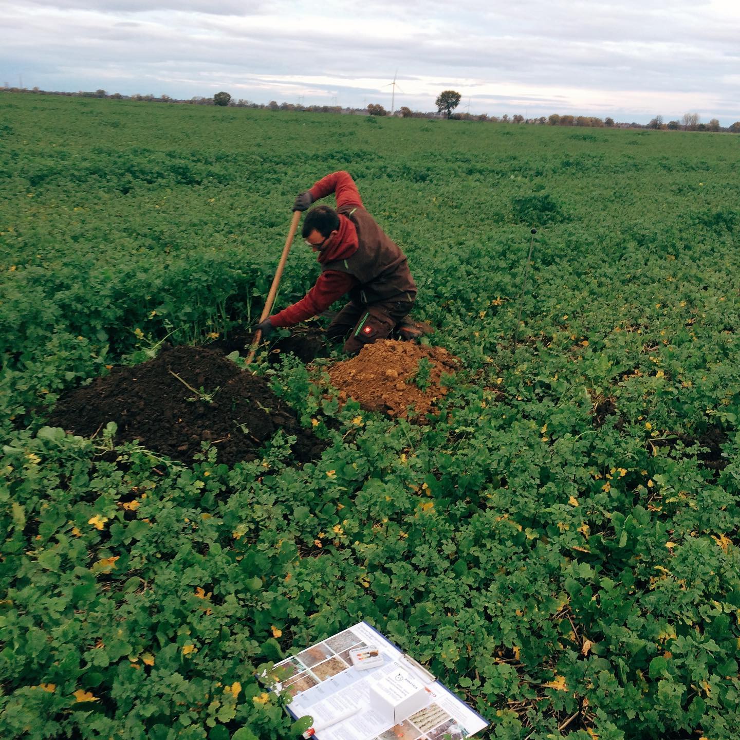 Ein frohes neues Jahr 2021 wünschen wir euch allen!
Da 2021 das Jahr des Lößbodens ist, wollen wir uns mit euch hier Schritt für Schritt auf eine Reise in den Boden machen.
Bleibt gespannt, bleibt dran, bis dann
euer Feldkulturteam
#bodendesjahres #lößboden #feldkultur #boden #reiseindenboden #landwirtschaft