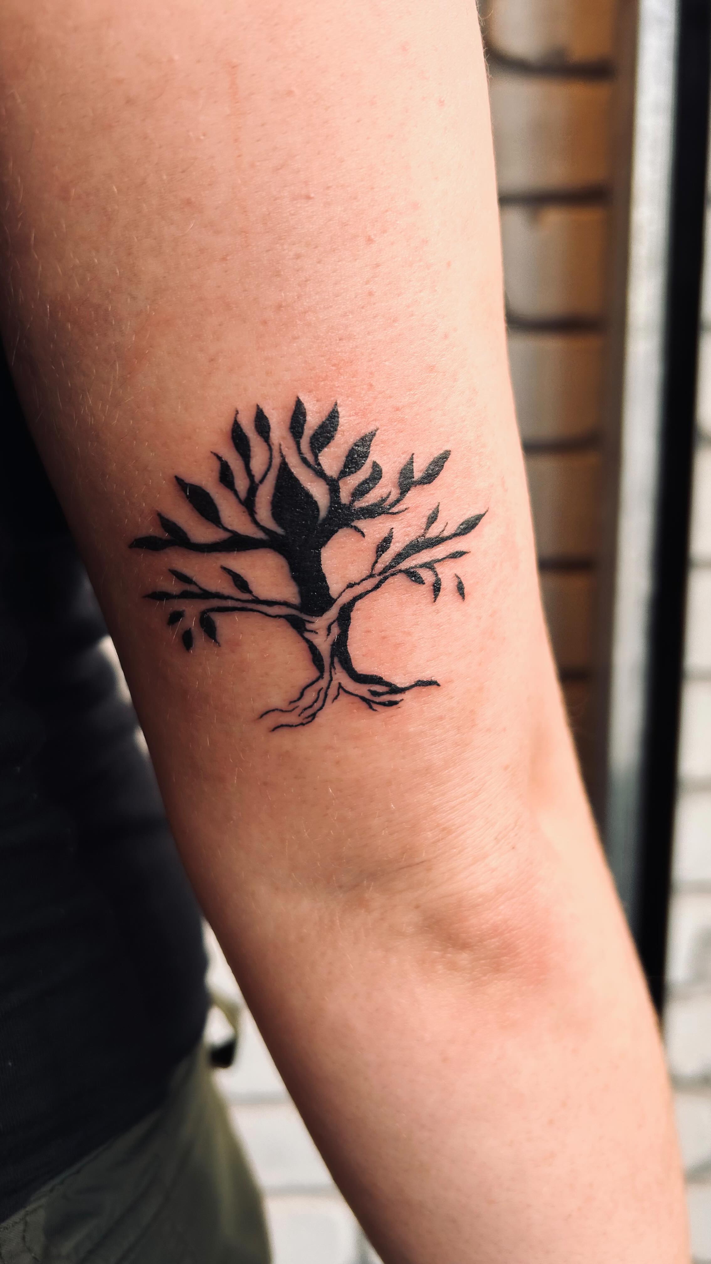 Rooted in story. Created together. 🌿
An olive tree, hand-drawn in collaboration, carrying strength, peace, and resilience.OliveTreeTattoo #TreeOfLifeTattoo #MeaningfulInk #FineLineTattoo #SymbolicTattoo