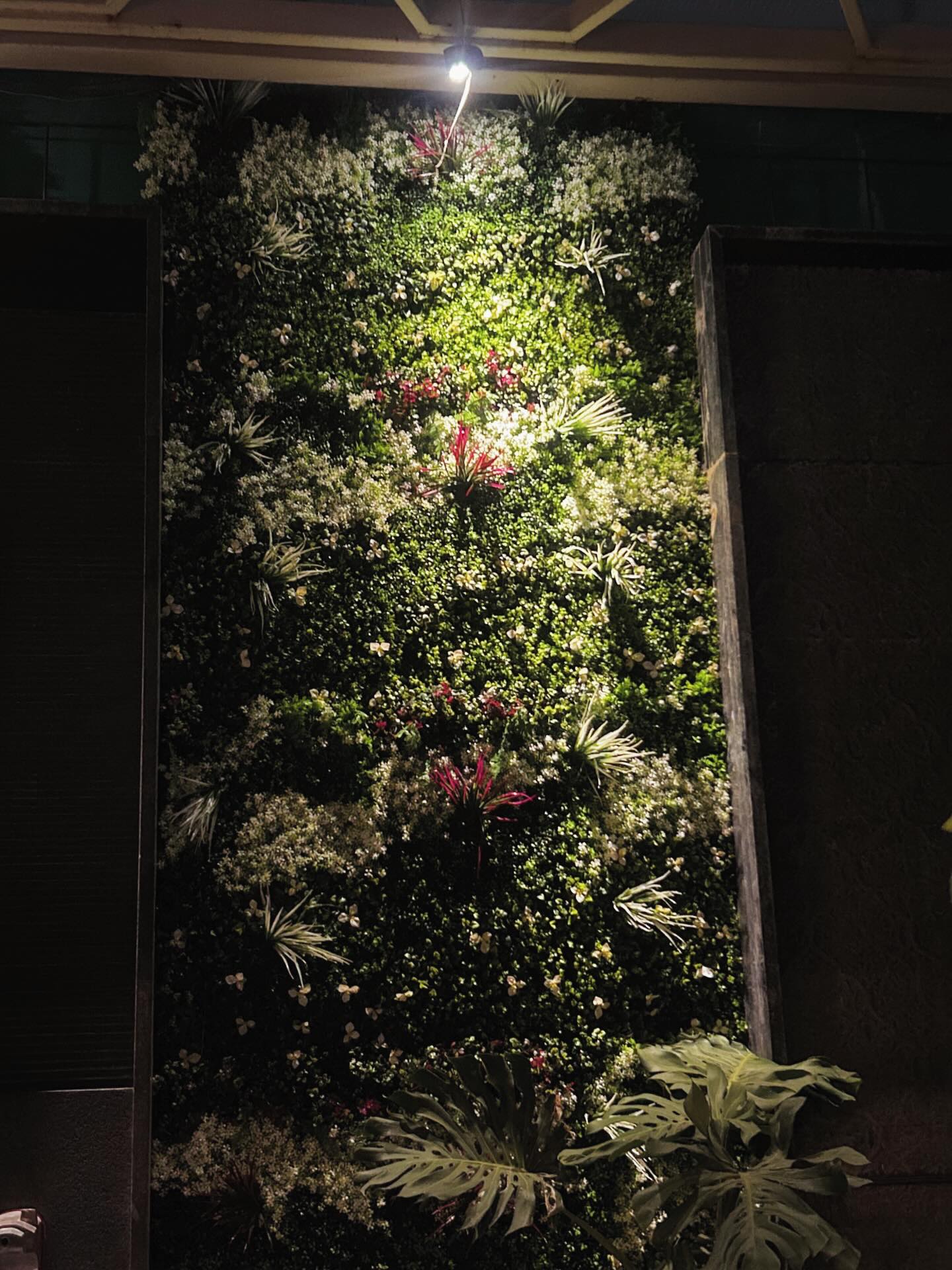 Bringing nature indoors, effortlessly 🌿”
“Evergreen beauty, zero maintenance.”
Contact us +91 9220768238
#wegreen #interiör #architecture #green #decore