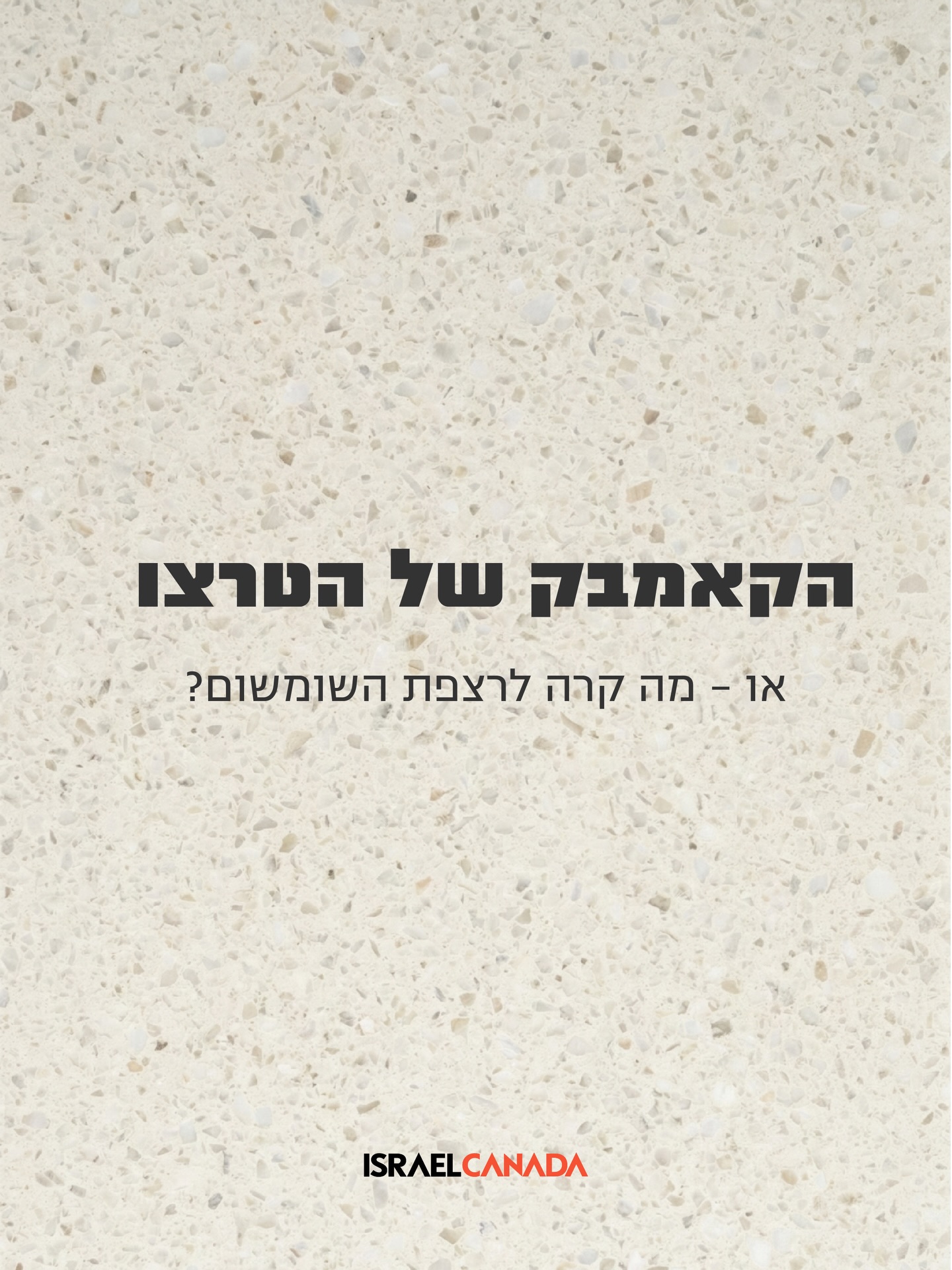 משאריות של ארמונות בונציה עד לעיצוב היוקרה המודרנית - מה הסיפור מאחורי רצפת הטרצו?
ככה נראה Better & Different.