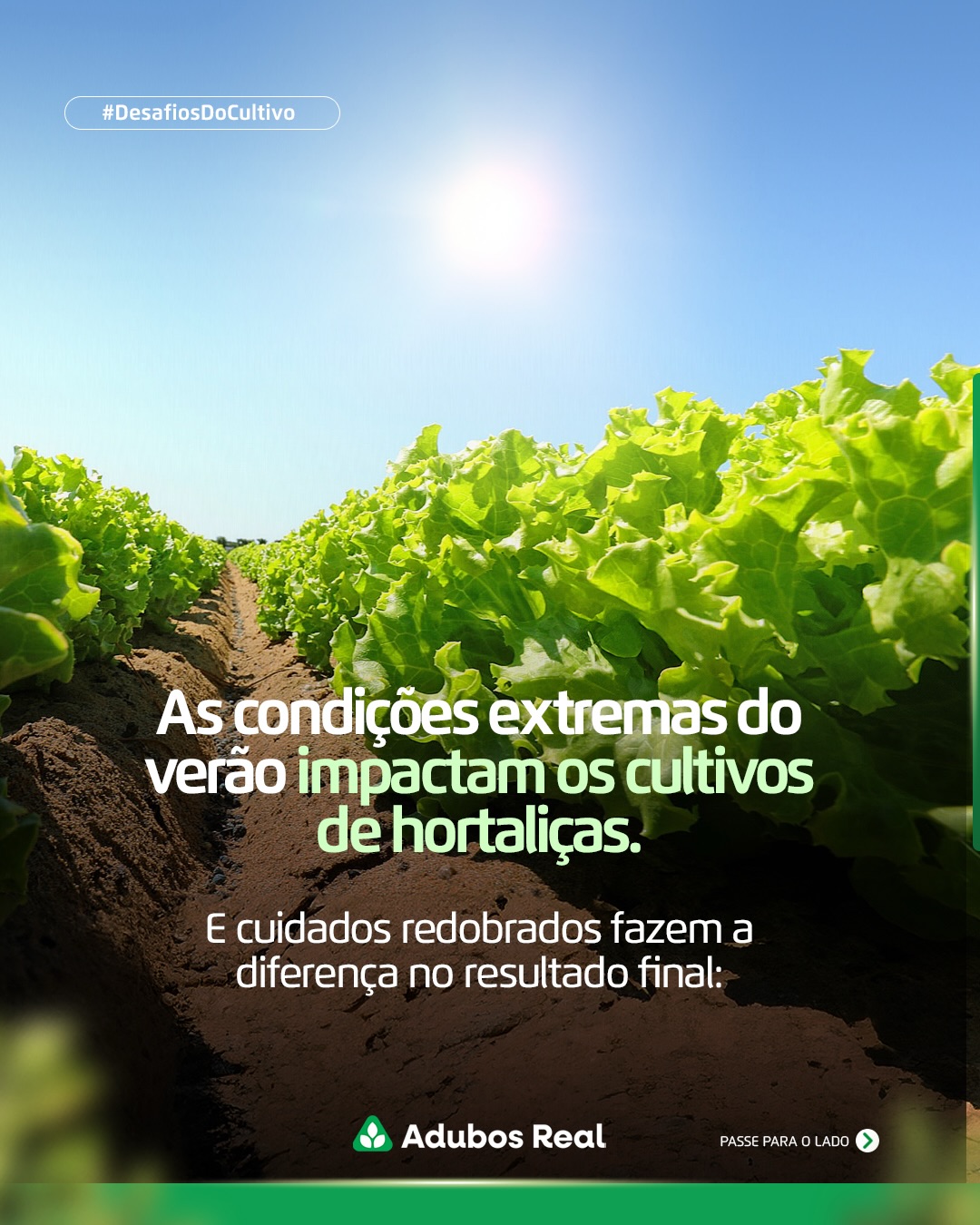 O verão exige mais do cultivo de hortaliças.
Calor, excesso de umidade e estresse fisiológico afetam vigor, sanidade e aparência das plantas.
Com Zíven e Amino PRO, a nutrição atua no equilíbrio fisiológico, no fortalecimento dos tecidos e na recuperação do estresse, ajudando a manter folhas mais vigorosas, sadias e com melhor padrão visual.
👉 Fale com um de nossos consultores e veja a melhor estratégia para a sua lavoura.
#estressefisiológico #hortaliças #folhosas #produtorrural #adubosreal